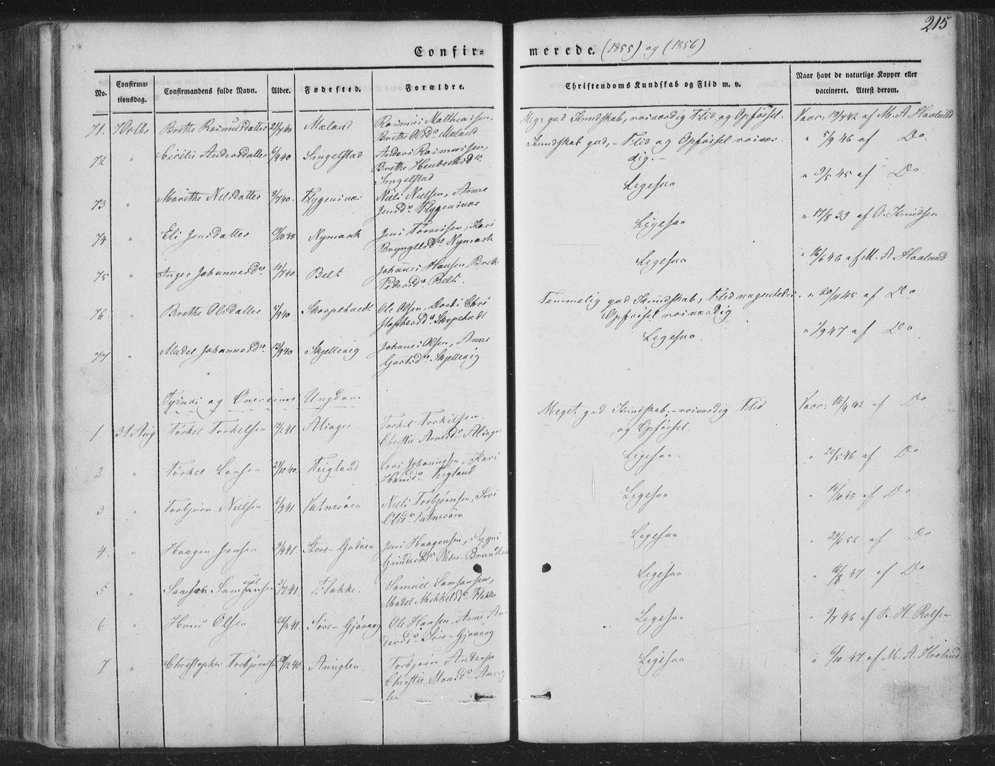 Tysnes sokneprestembete, AV/SAB-A-78601/H/Haa: Parish register (official) no. A 10, 1848-1859, p. 215