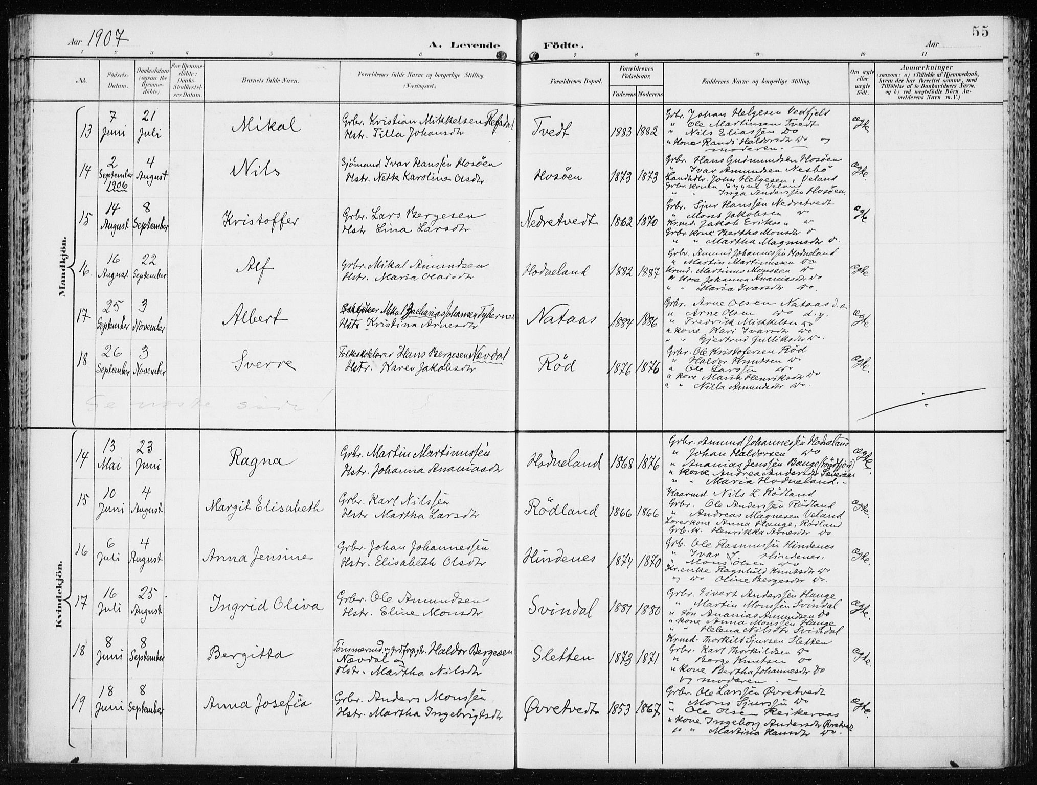 Lindås Sokneprestembete, SAB/A-76701/H/Haa: Parish register (official) no. F  2, 1897-1909, p. 55