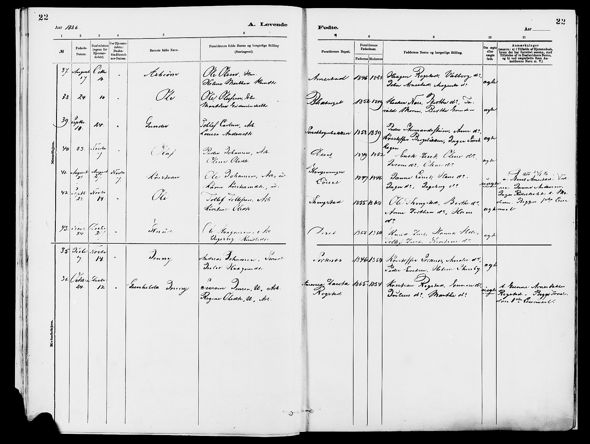 Åmot prestekontor, Hedmark, SAH/PREST-056/H/Ha/Haa/L0010: Parish register (official) no. 10, 1884-1889, p. 22