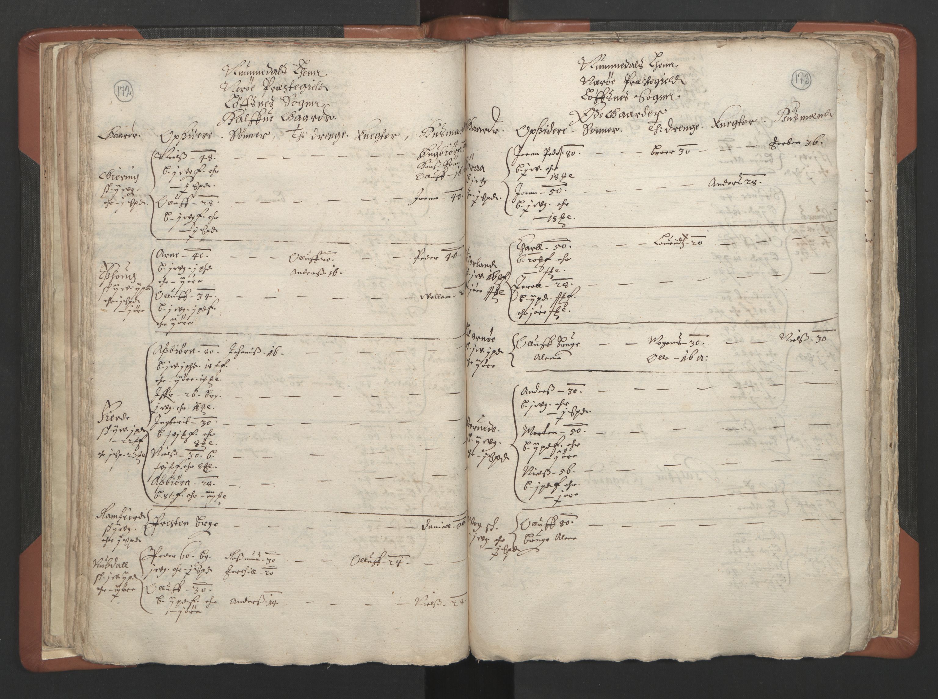 RA, Vicar's Census 1664-1666, no. 34: Namdal deanery, 1664-1666, p. 172-173