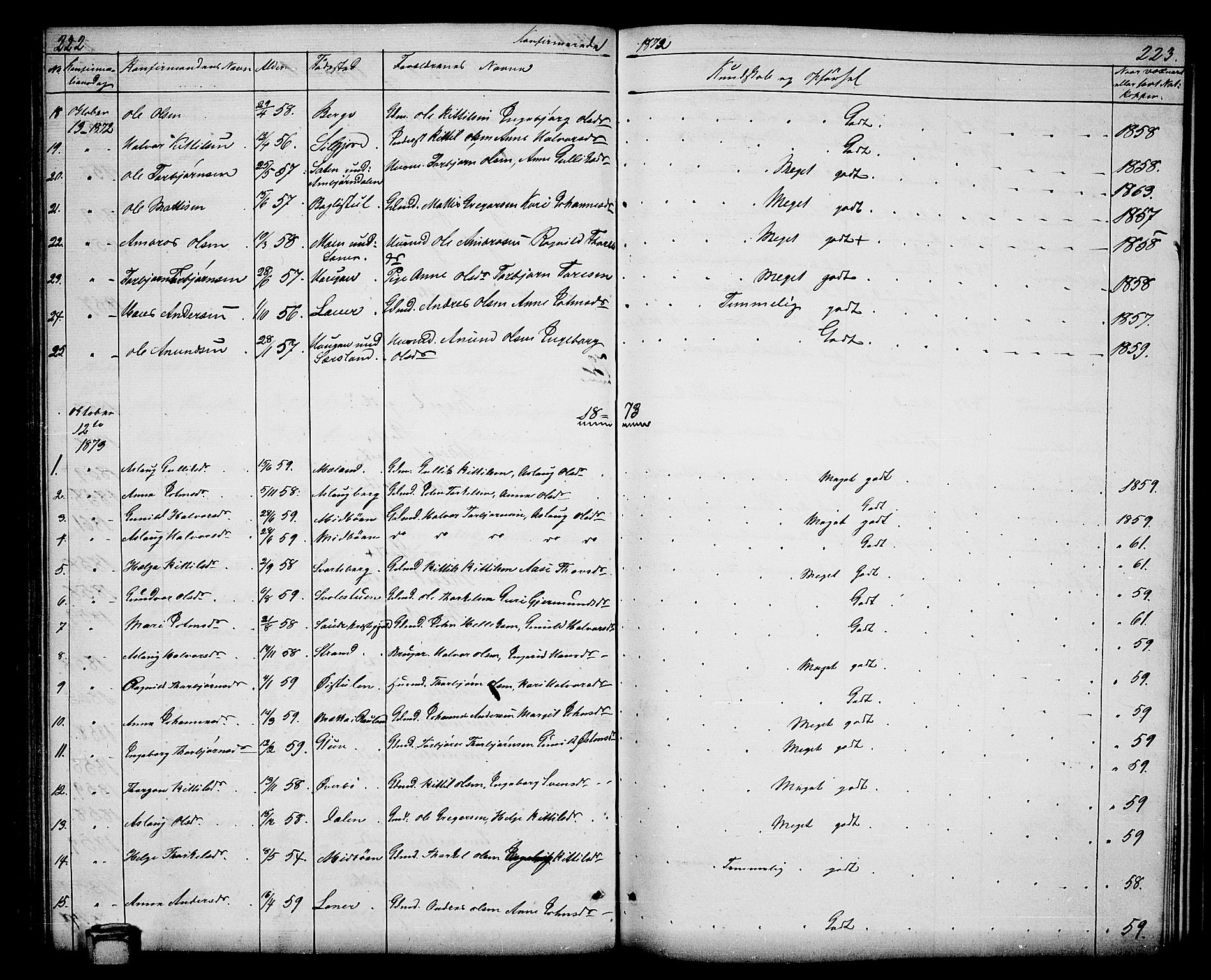 Hjartdal kirkebøker, AV/SAKO-A-270/G/Ga/L0002: Parish register (copy) no. I 2, 1854-1888, p. 222-223