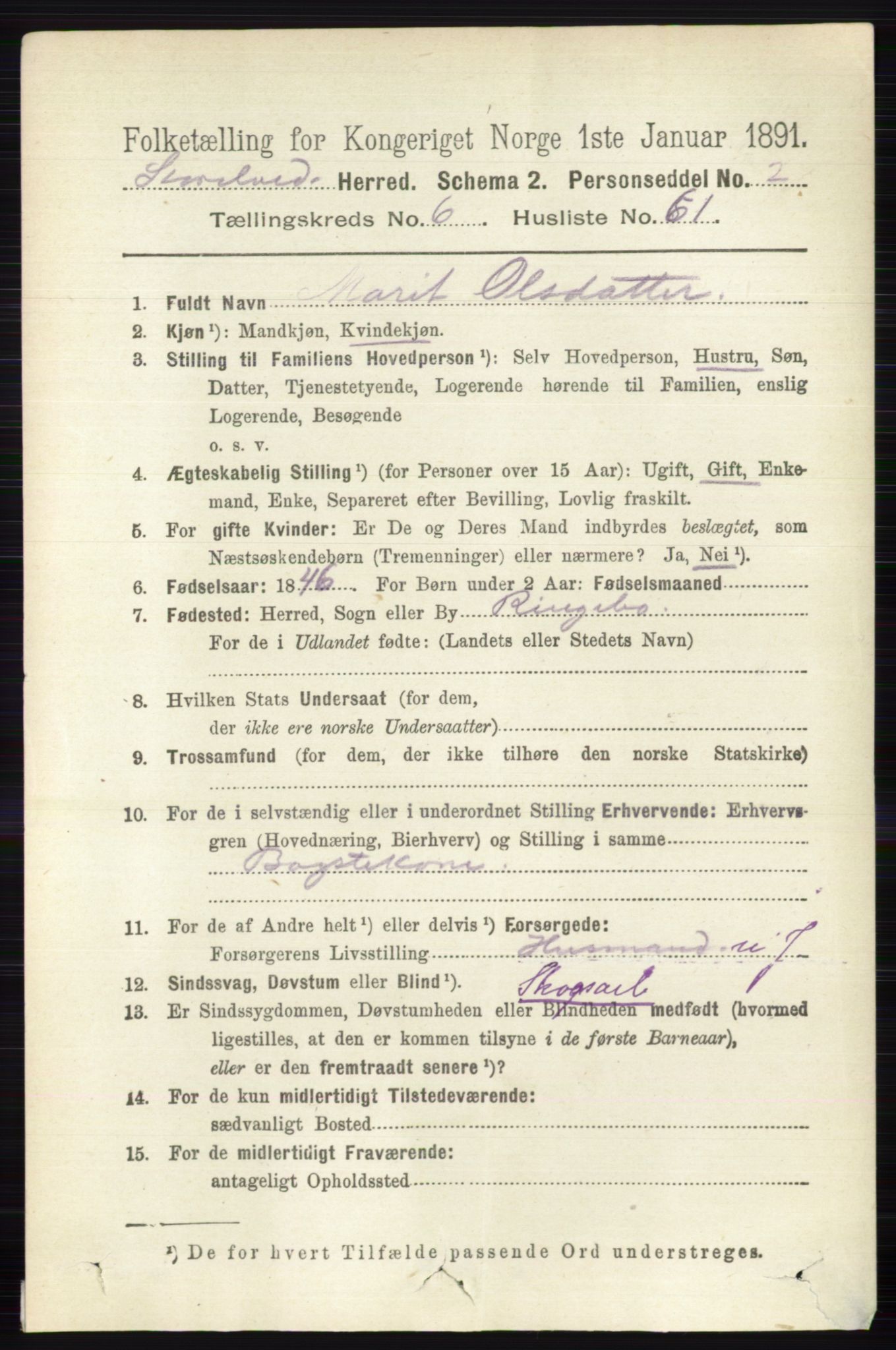 RA, 1891 census for 0430 Stor-Elvdal, 1891, p. 2545