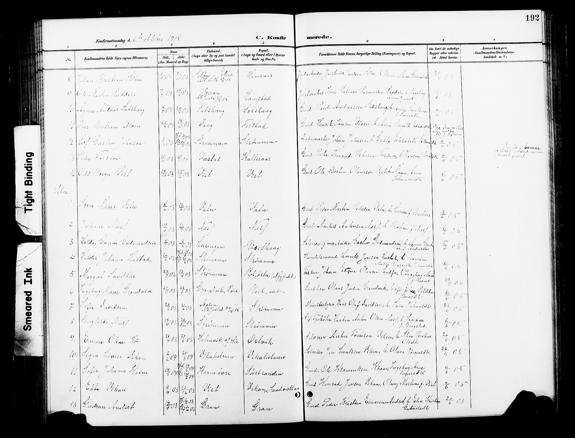 Ministerialprotokoller, klokkerbøker og fødselsregistre - Nord-Trøndelag, AV/SAT-A-1458/730/L0302: Parish register (copy) no. 730C05, 1898-1924, p. 192