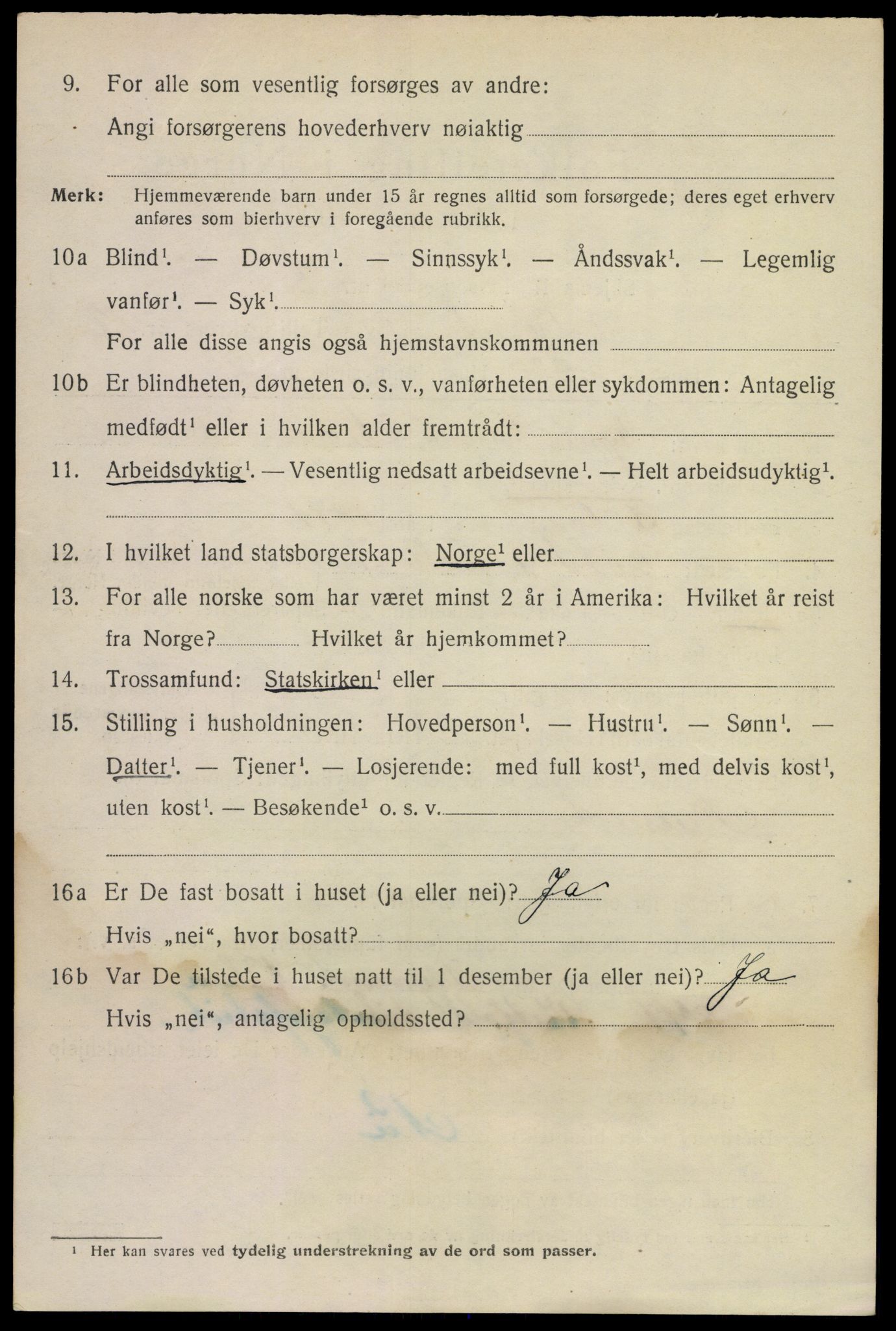 SAKO, 1920 census for Larvik, 1920, p. 31021