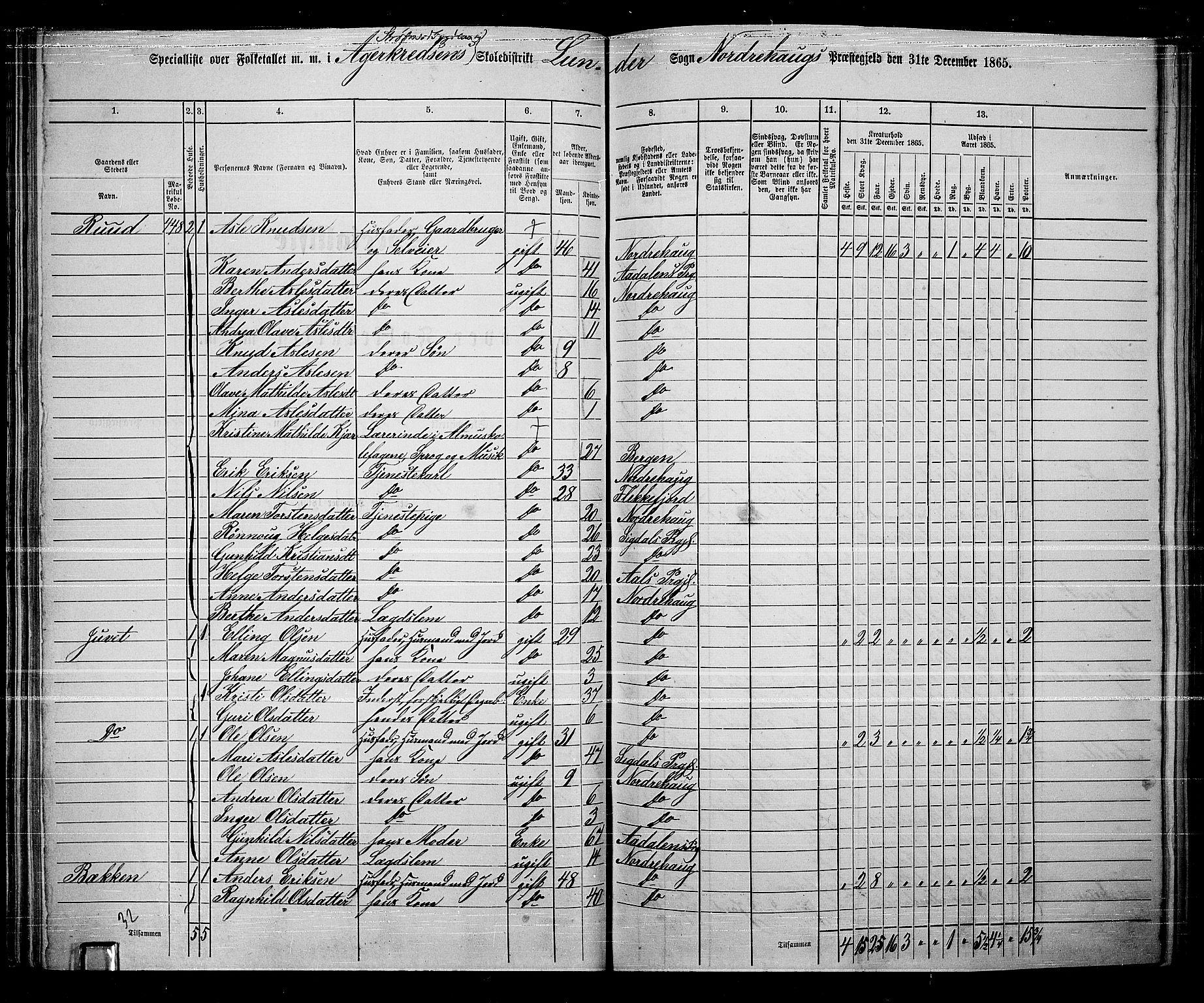 RA, 1865 census for Norderhov/Norderhov, Haug og Lunder, 1865, p. 61