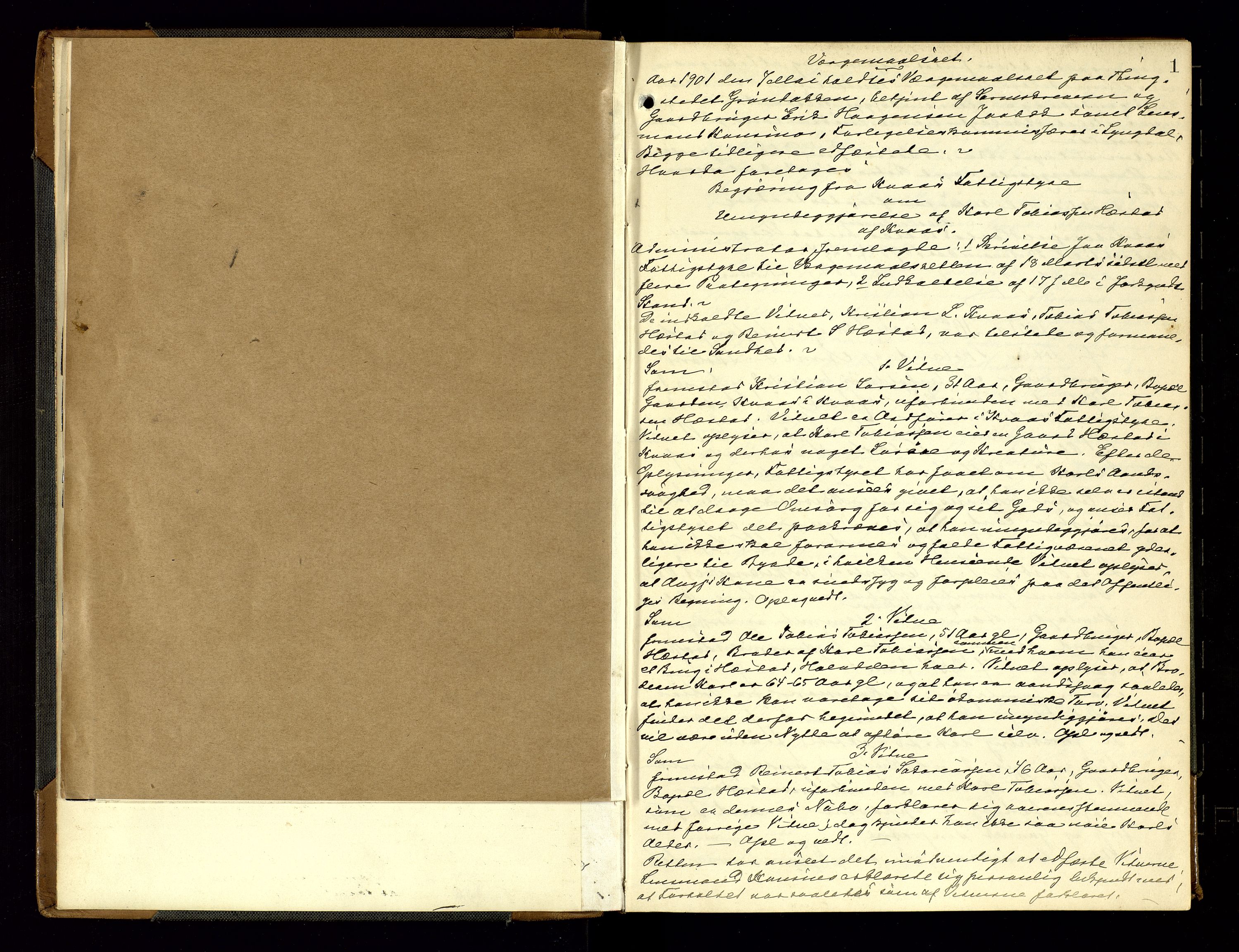 Lyngdal sorenskriveri, AV/SAK-1221-0004/F/Fb/L0093: Ekstrarettsprotokoll nr. 29, 1901-1904, p. 1