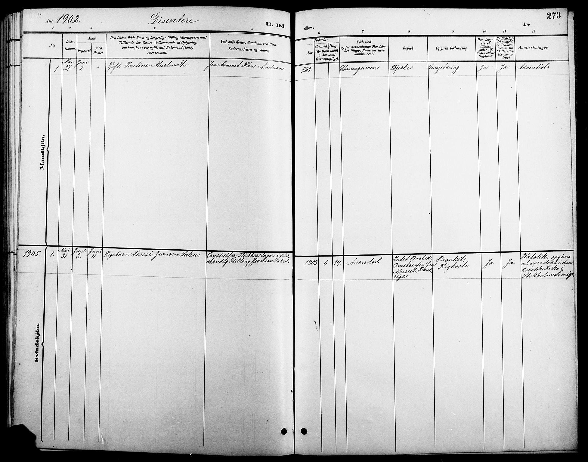 Stange prestekontor, SAH/PREST-002/L/L0011: Parish register (copy) no. 11, 1895-1917, p. 273