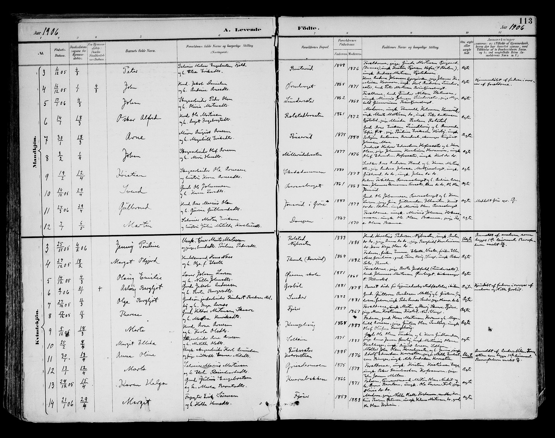 Brandval prestekontor, AV/SAH-PREST-034/H/Ha/Haa/L0003: Parish register (official) no. 3, 1894-1909, p. 113