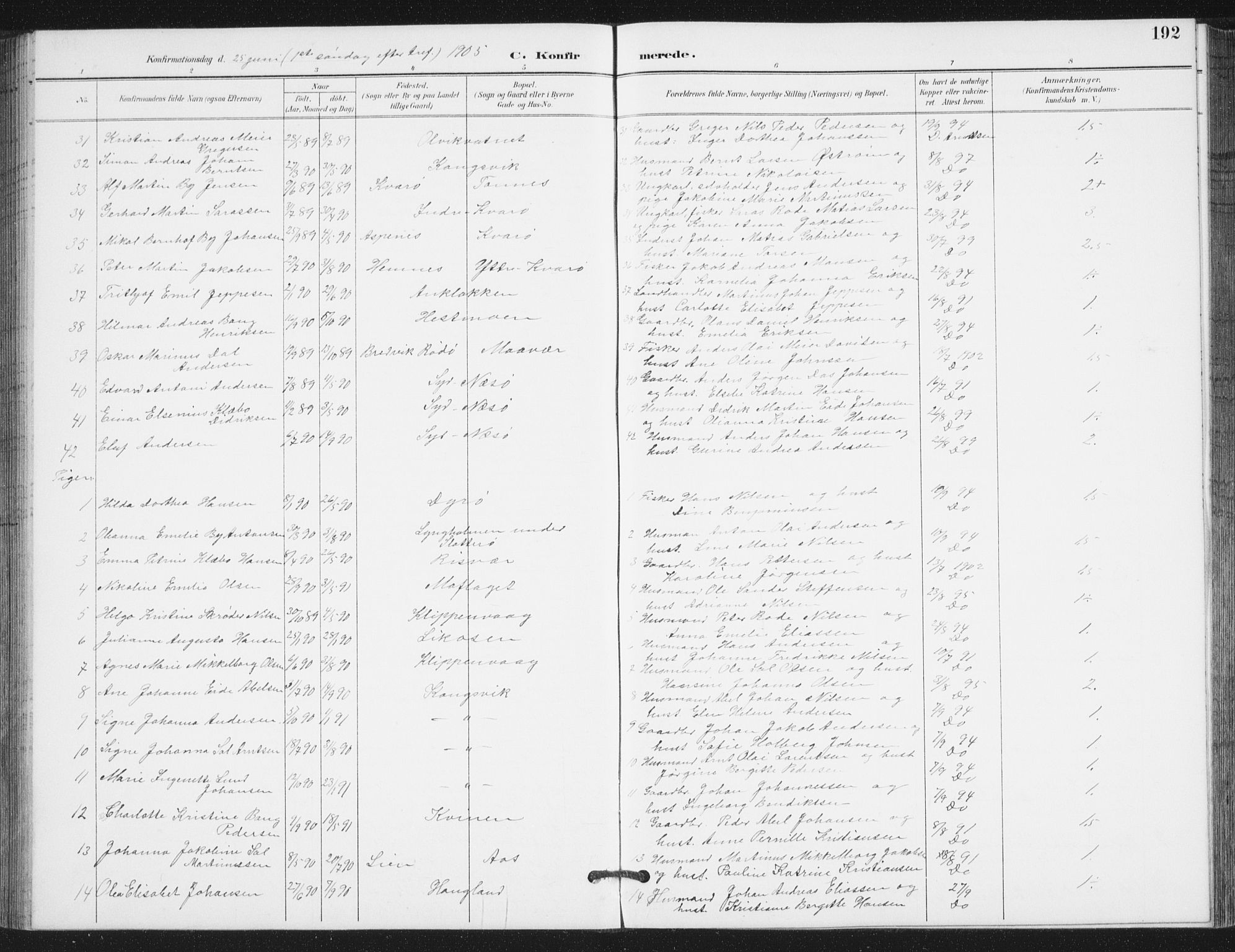 Ministerialprotokoller, klokkerbøker og fødselsregistre - Nordland, AV/SAT-A-1459/839/L0573: Parish register (copy) no. 839C03, 1892-1917, p. 192