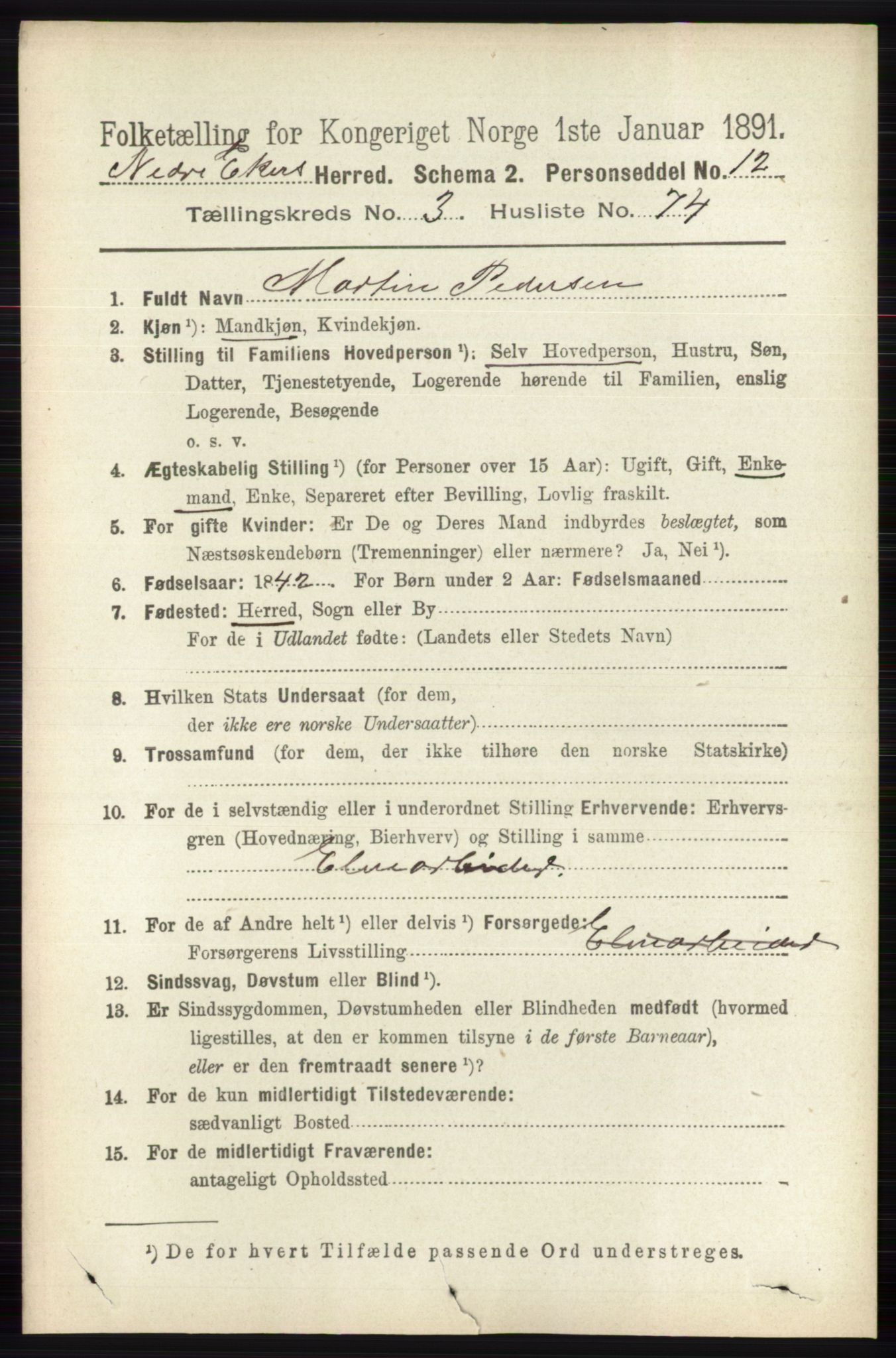 RA, 1891 census for 0625 Nedre Eiker, 1891, p. 1606