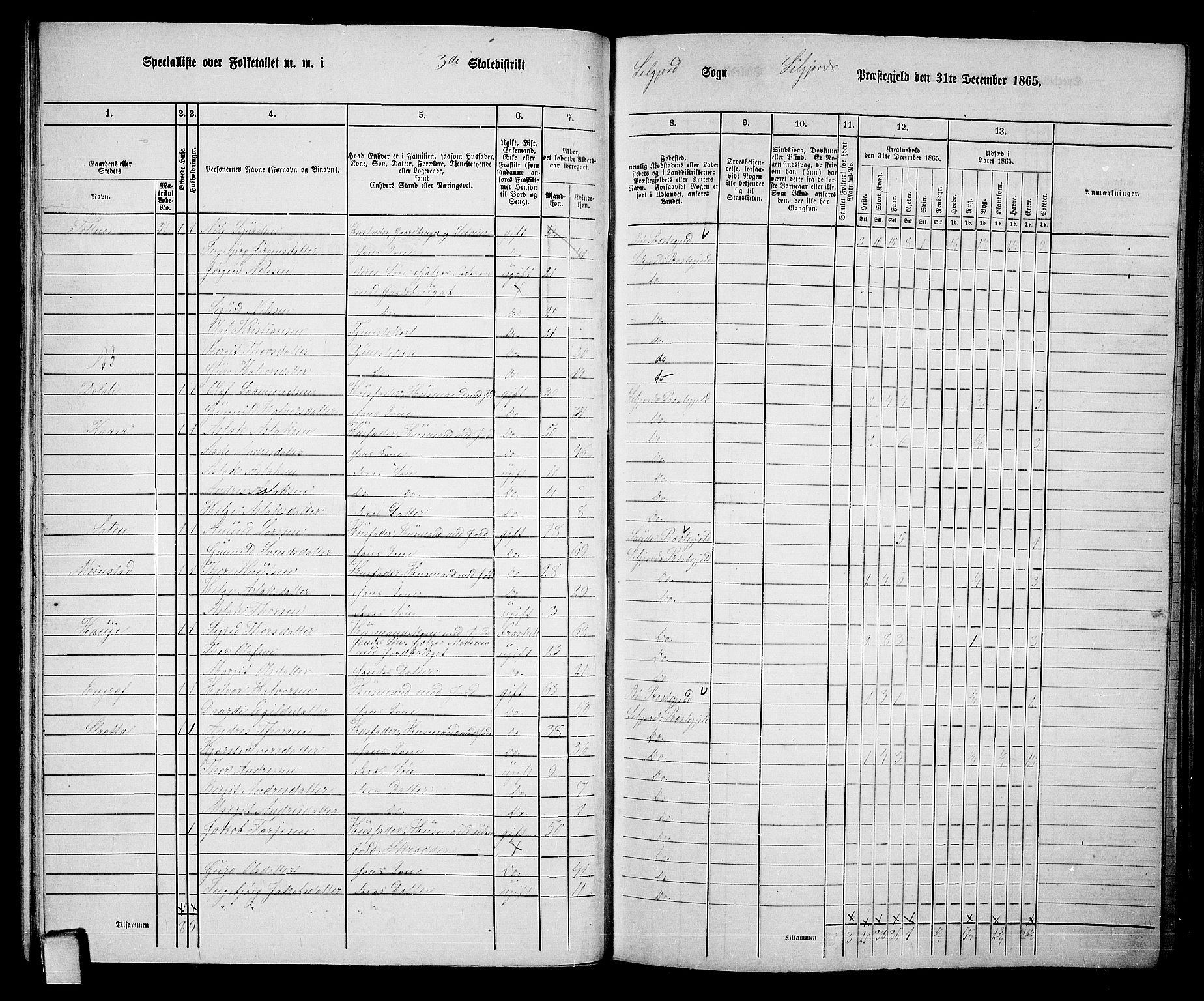 RA, 1865 census for Seljord, 1865, p. 43