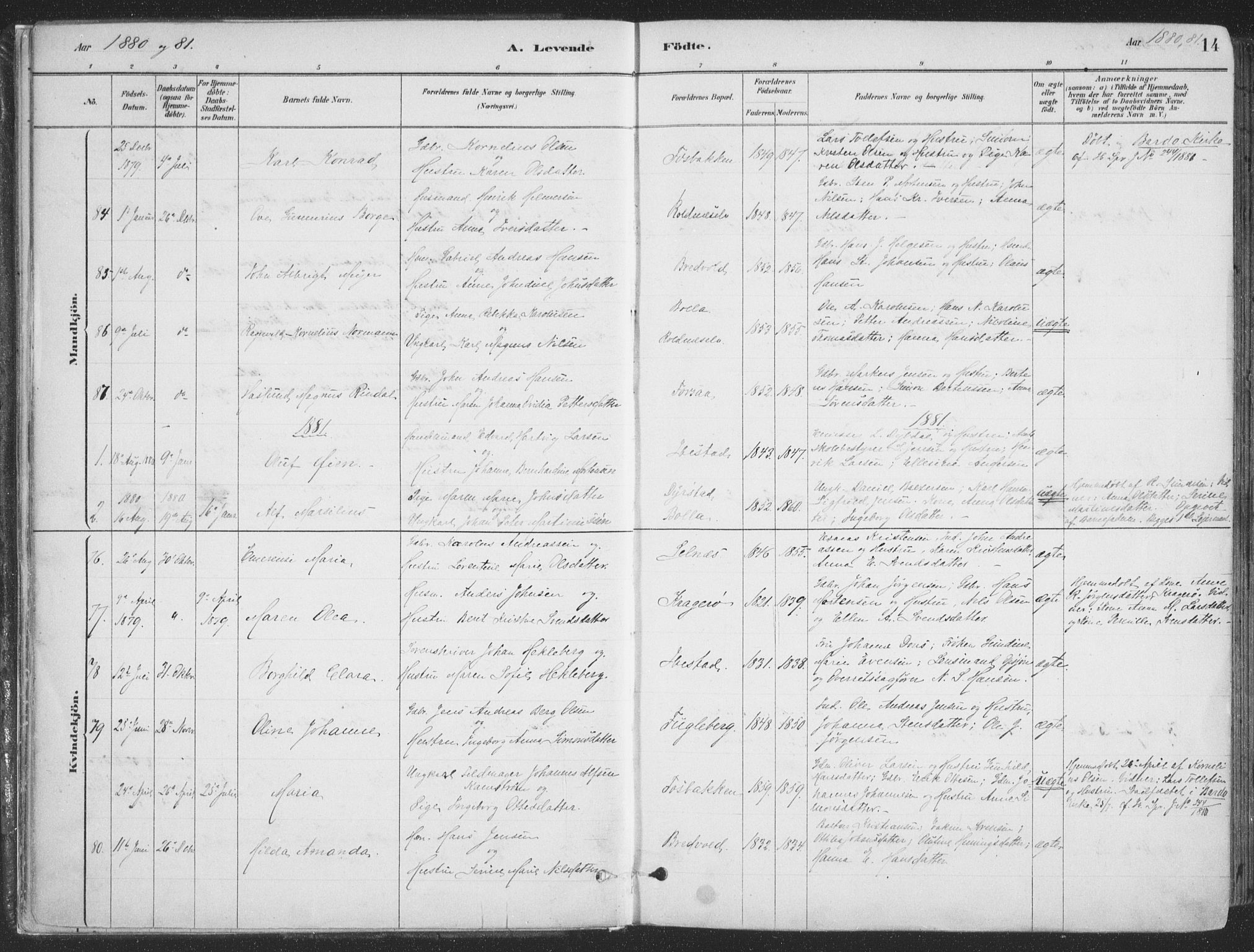 Ibestad sokneprestembete, AV/SATØ-S-0077/H/Ha/Haa/L0011kirke: Parish register (official) no. 11, 1880-1889, p. 14