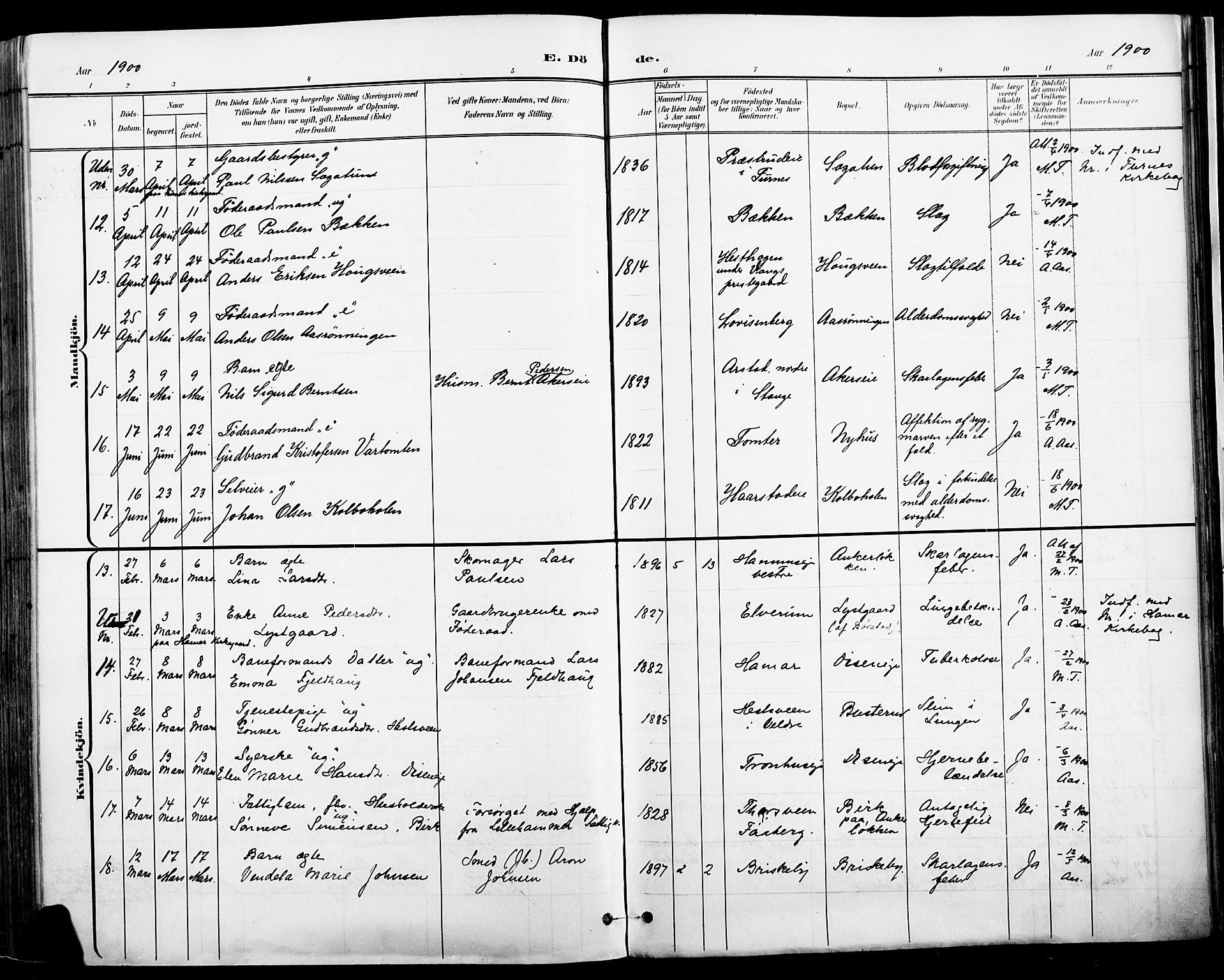 Vang prestekontor, Hedmark, AV/SAH-PREST-008/H/Ha/Haa/L0019A: Parish register (official) no. 19, 1886-1900