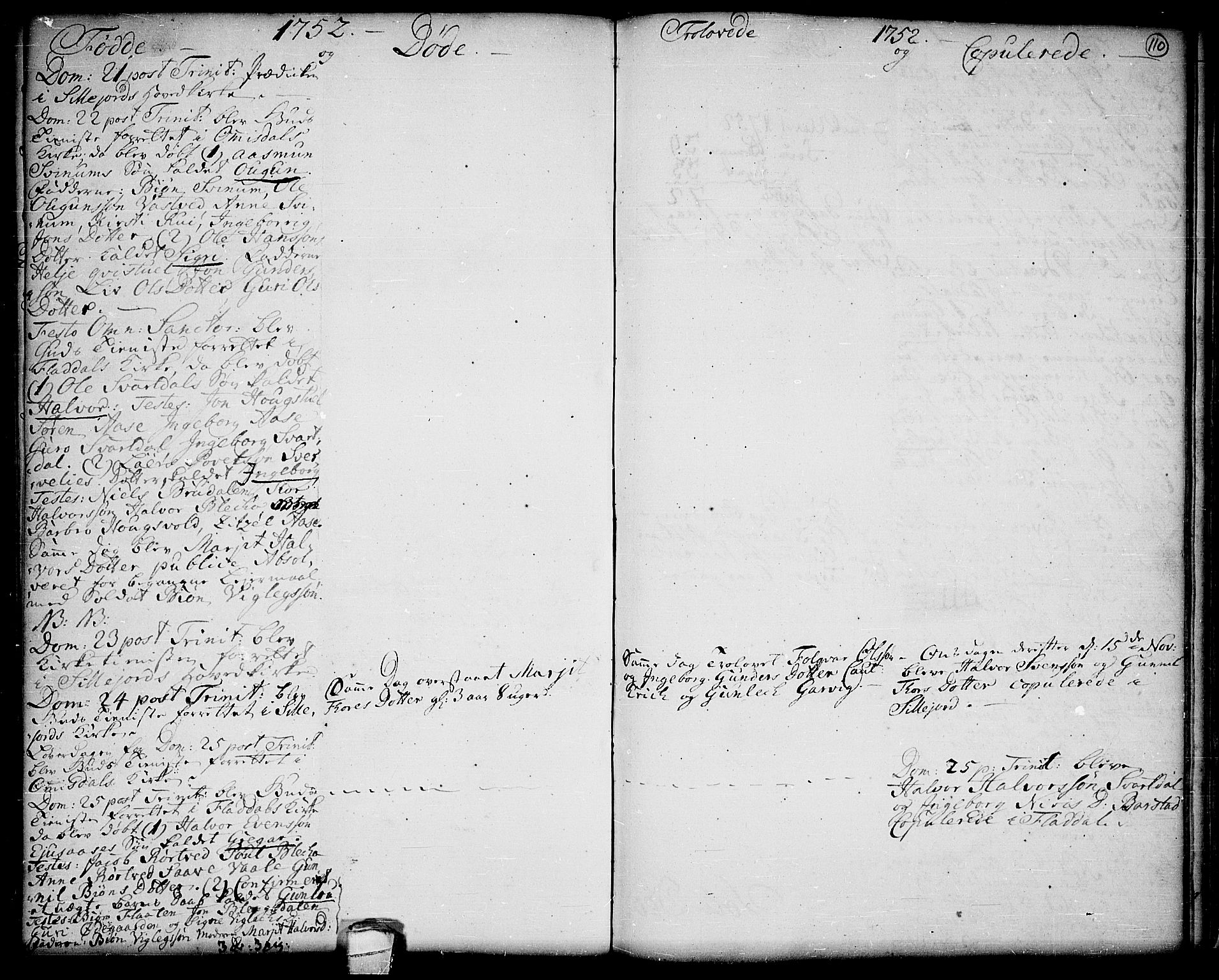 Seljord kirkebøker, SAKO/A-20/F/Fa/L0006: Parish register (official) no. I 6, 1744-1755, p. 110