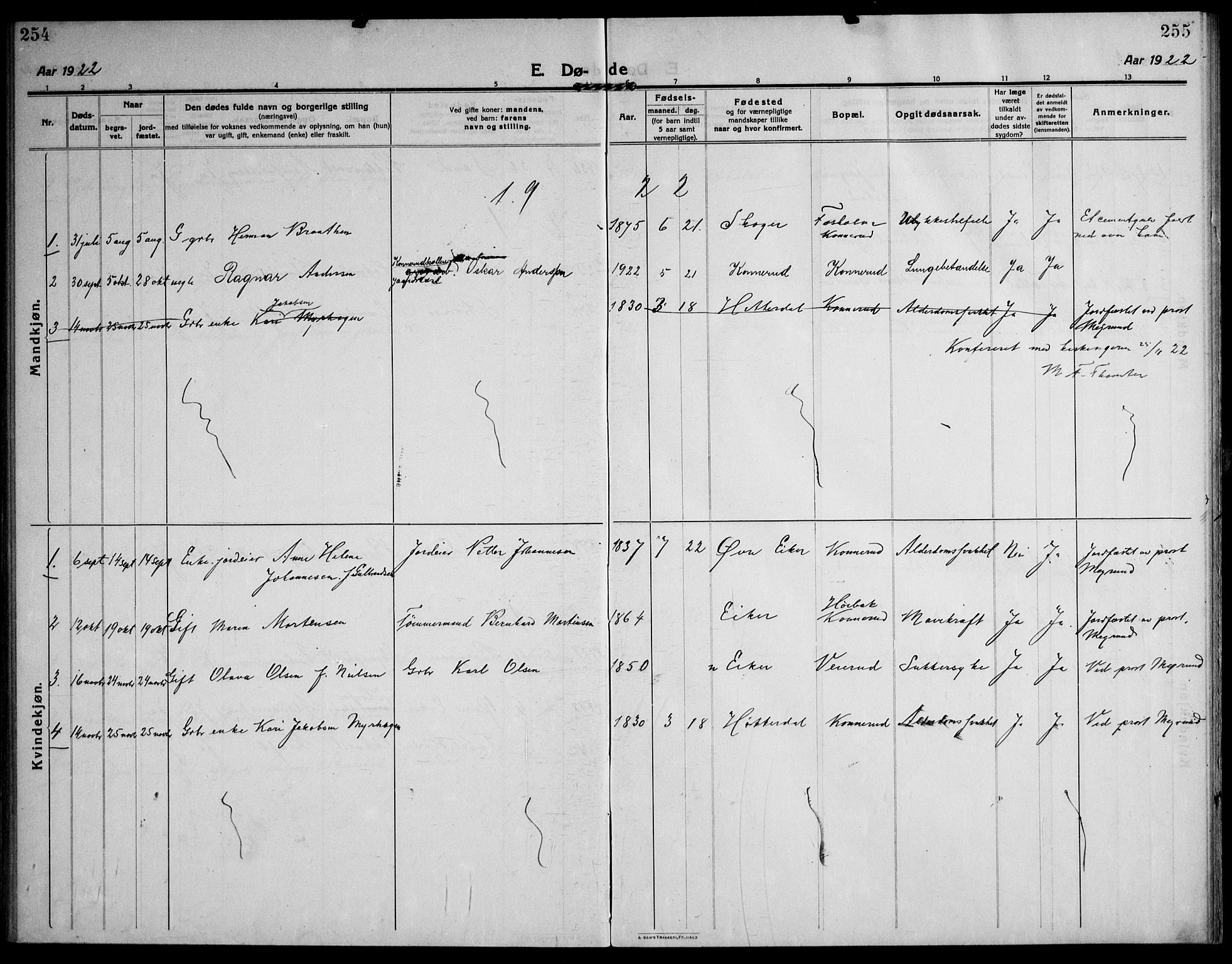 Skoger kirkebøker, AV/SAKO-A-59/F/Fb/L0002: Parish register (official) no. II 2, 1914-1941, p. 254-255