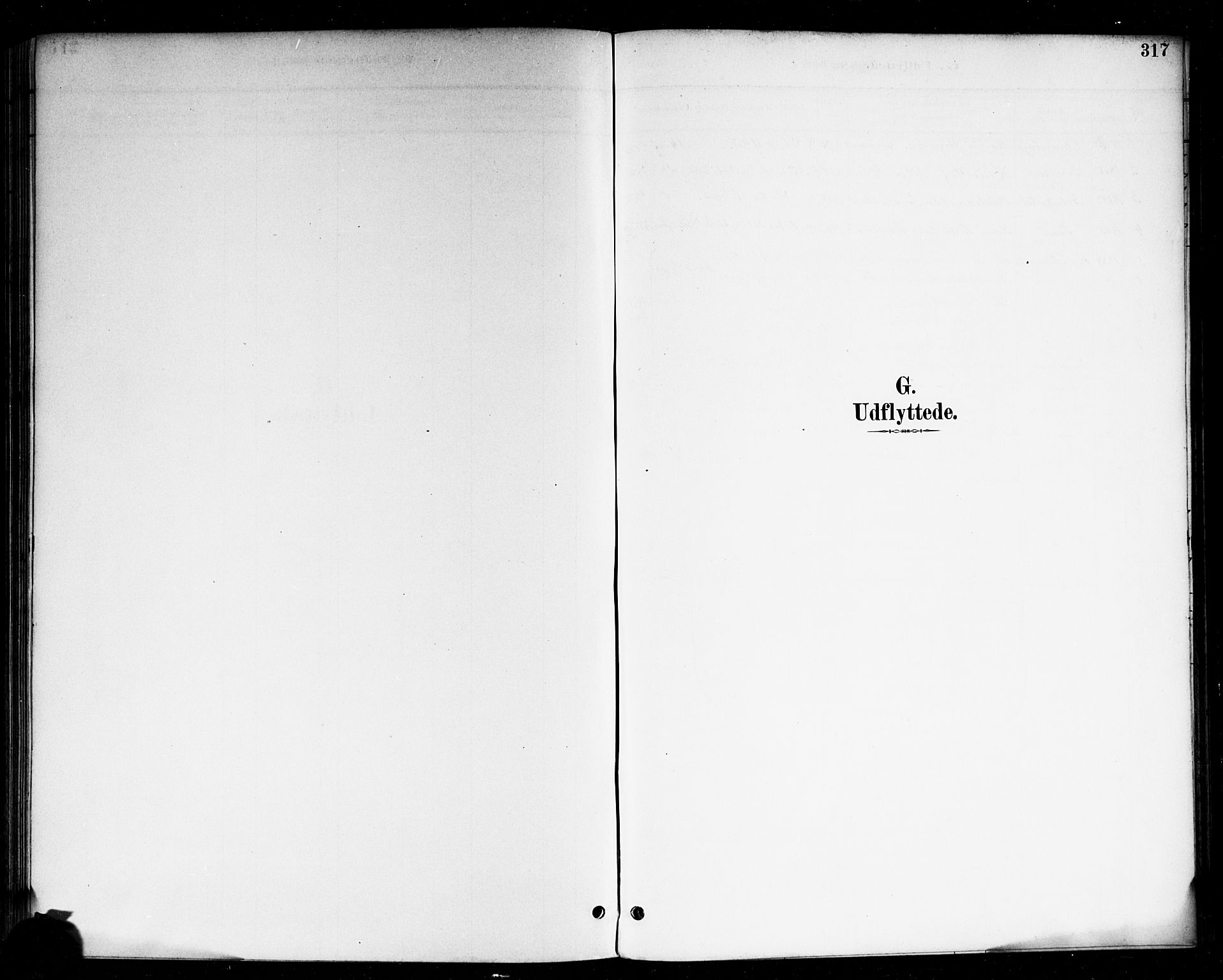 Skjeberg prestekontor Kirkebøker, SAO/A-10923/F/Fa/L0009: Parish register (official) no. I 9, 1886-1897, p. 317