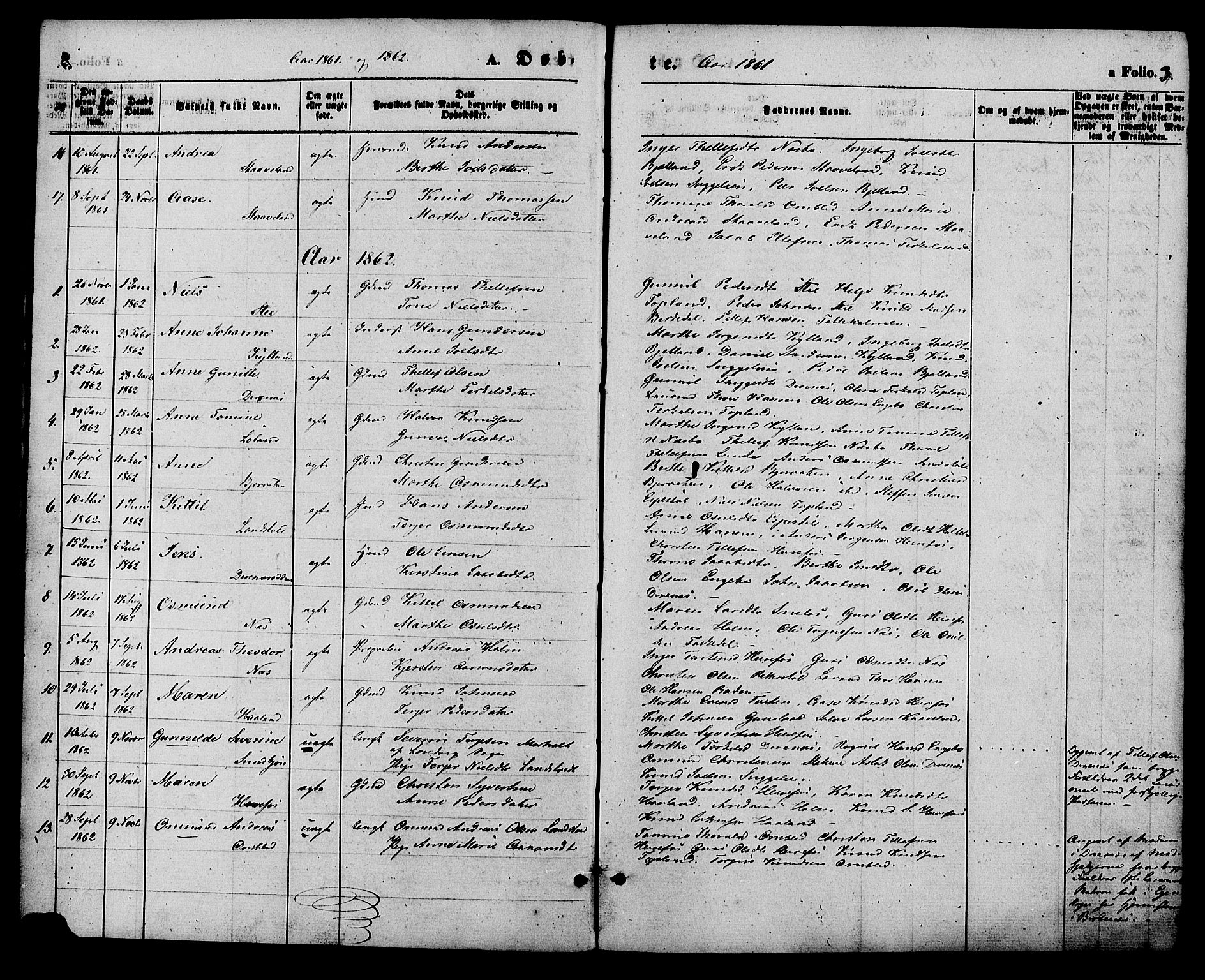 Herefoss sokneprestkontor, AV/SAK-1111-0019/F/Fa/Faa/L0002: Parish register (official) no. A 2, 1861-1886, p. 3