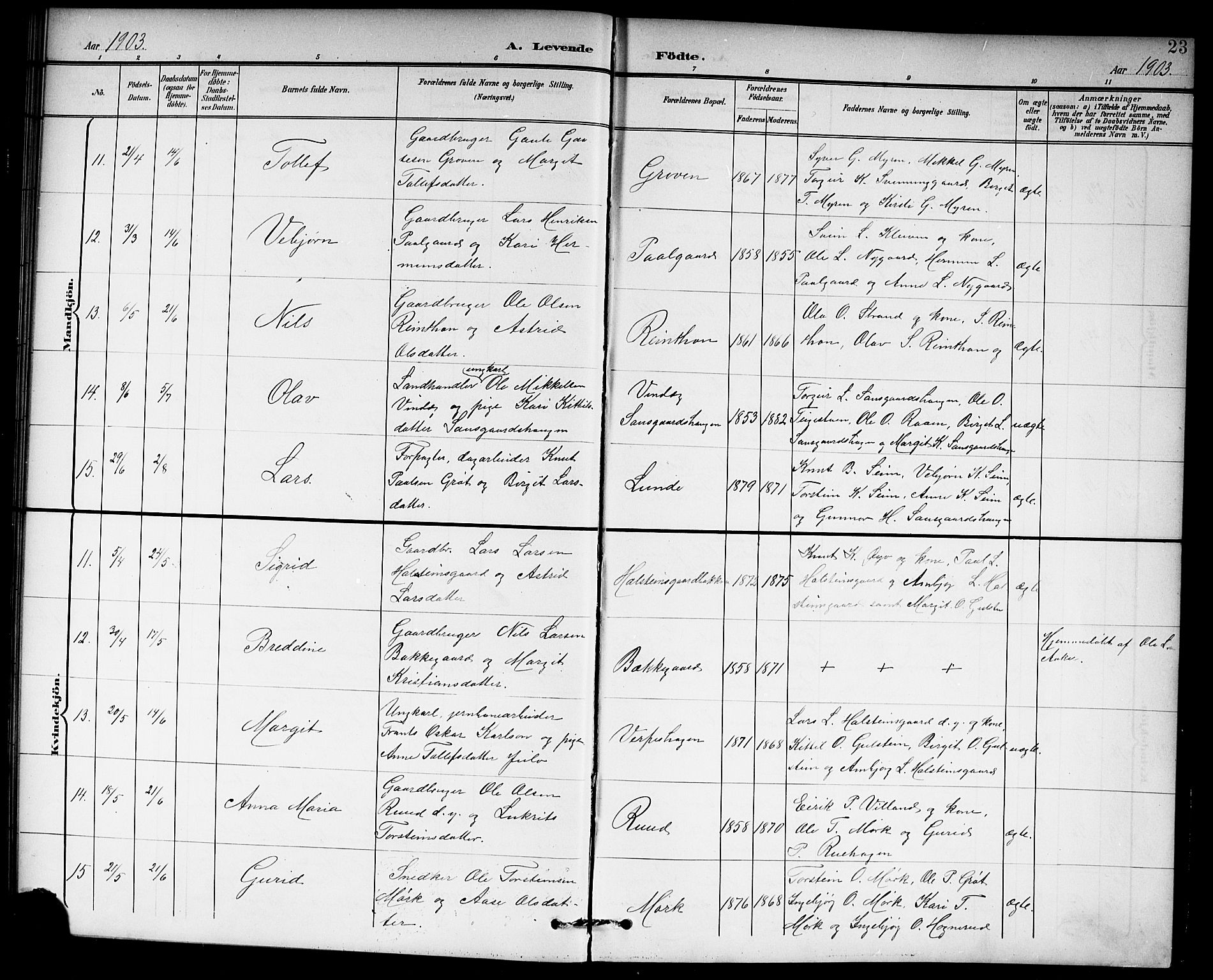 Hol kirkebøker, AV/SAKO-A-227/G/Ga/L0001: Parish register (copy) no. I 1, 1900-1919, p. 23