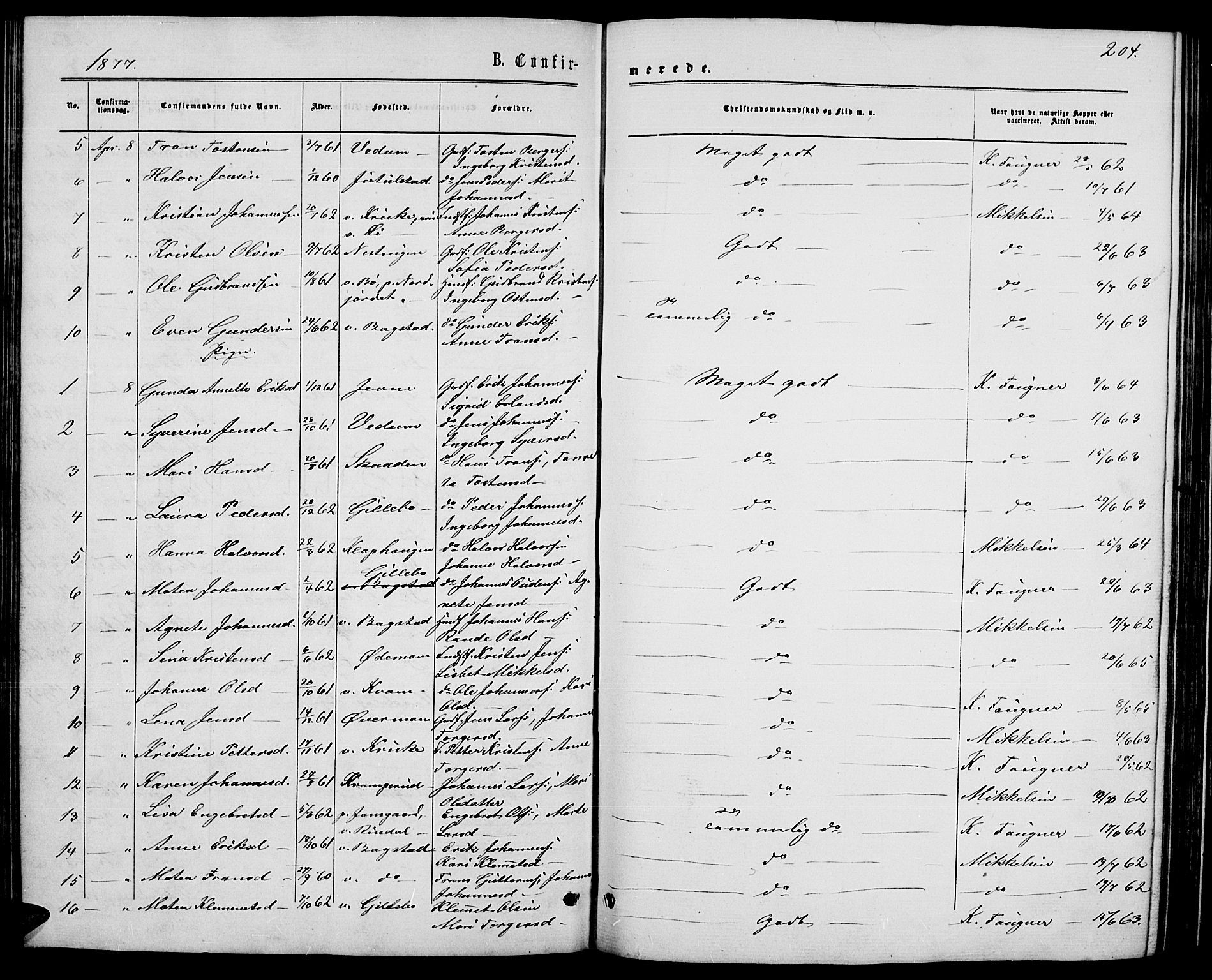 Øyer prestekontor, SAH/PREST-084/H/Ha/Hab/L0001: Parish register (copy) no. 1, 1863-1877, p. 204