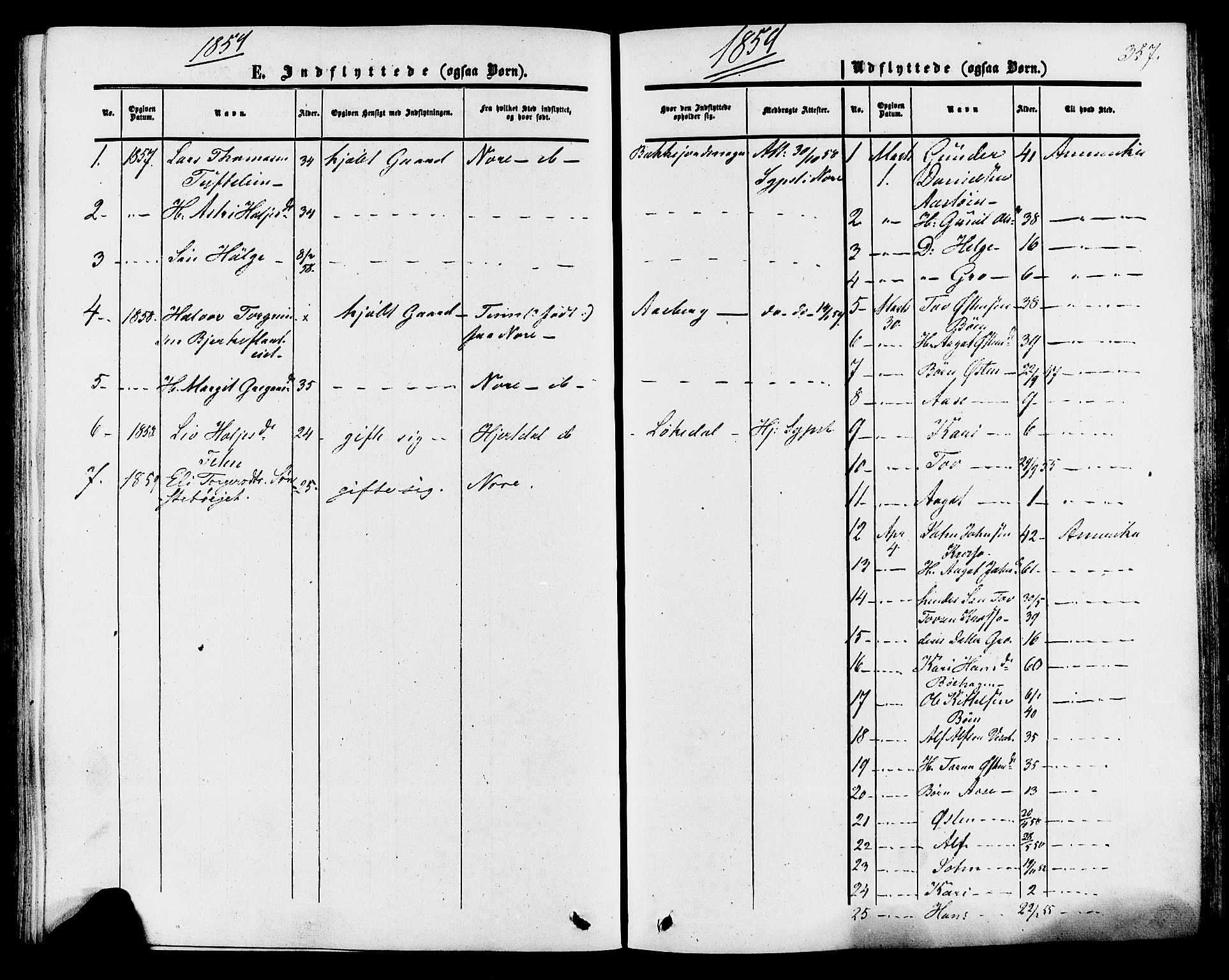 Tinn kirkebøker, SAKO/A-308/F/Fa/L0006: Parish register (official) no. I 6, 1857-1878, p. 357