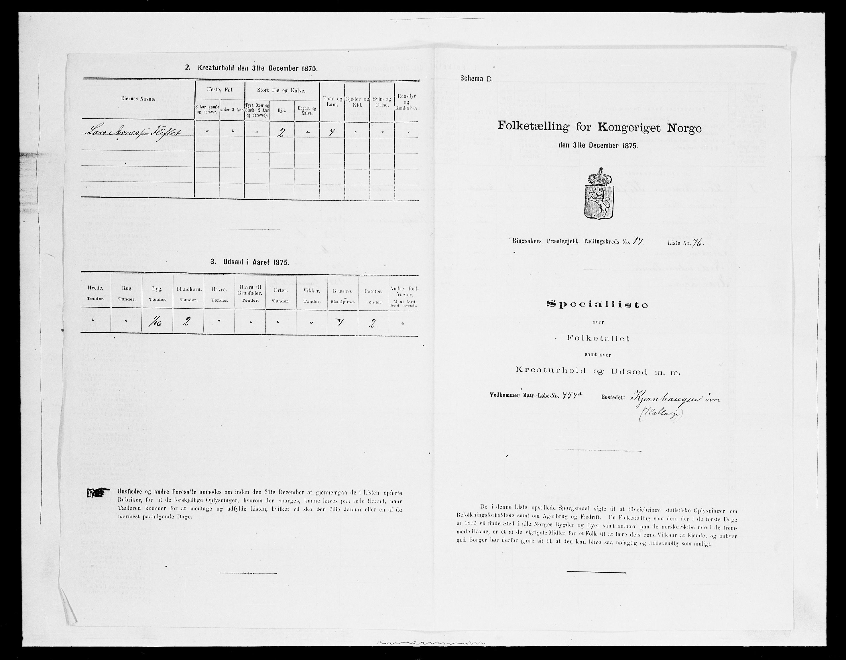 SAH, 1875 census for 0412P Ringsaker, 1875, p. 3545