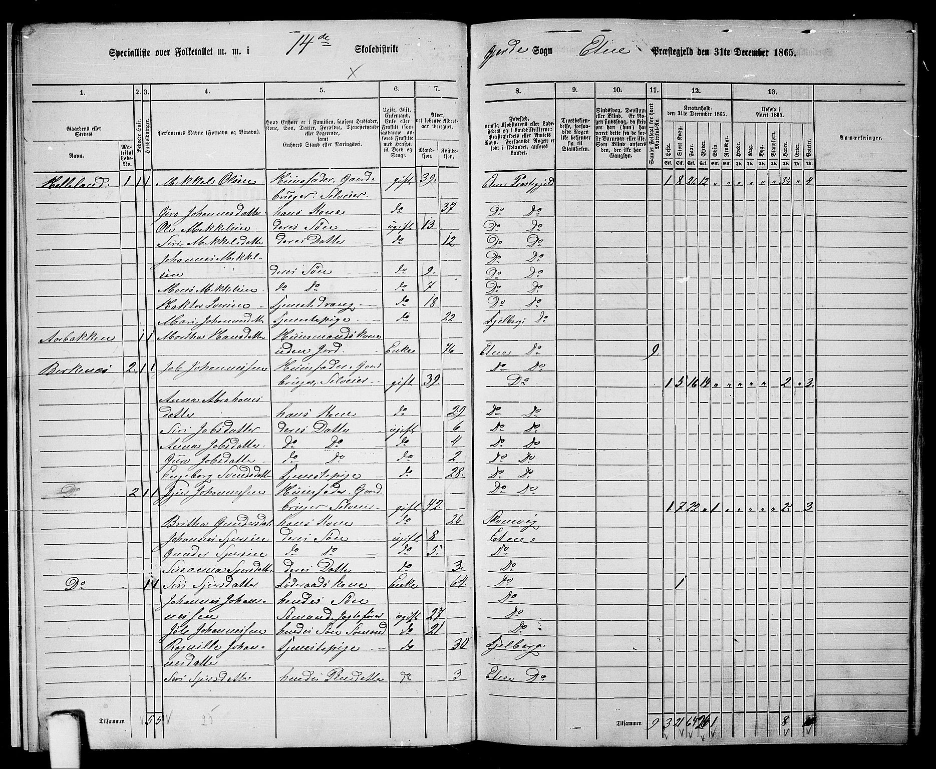 RA, 1865 census for Etne, 1865, p. 12