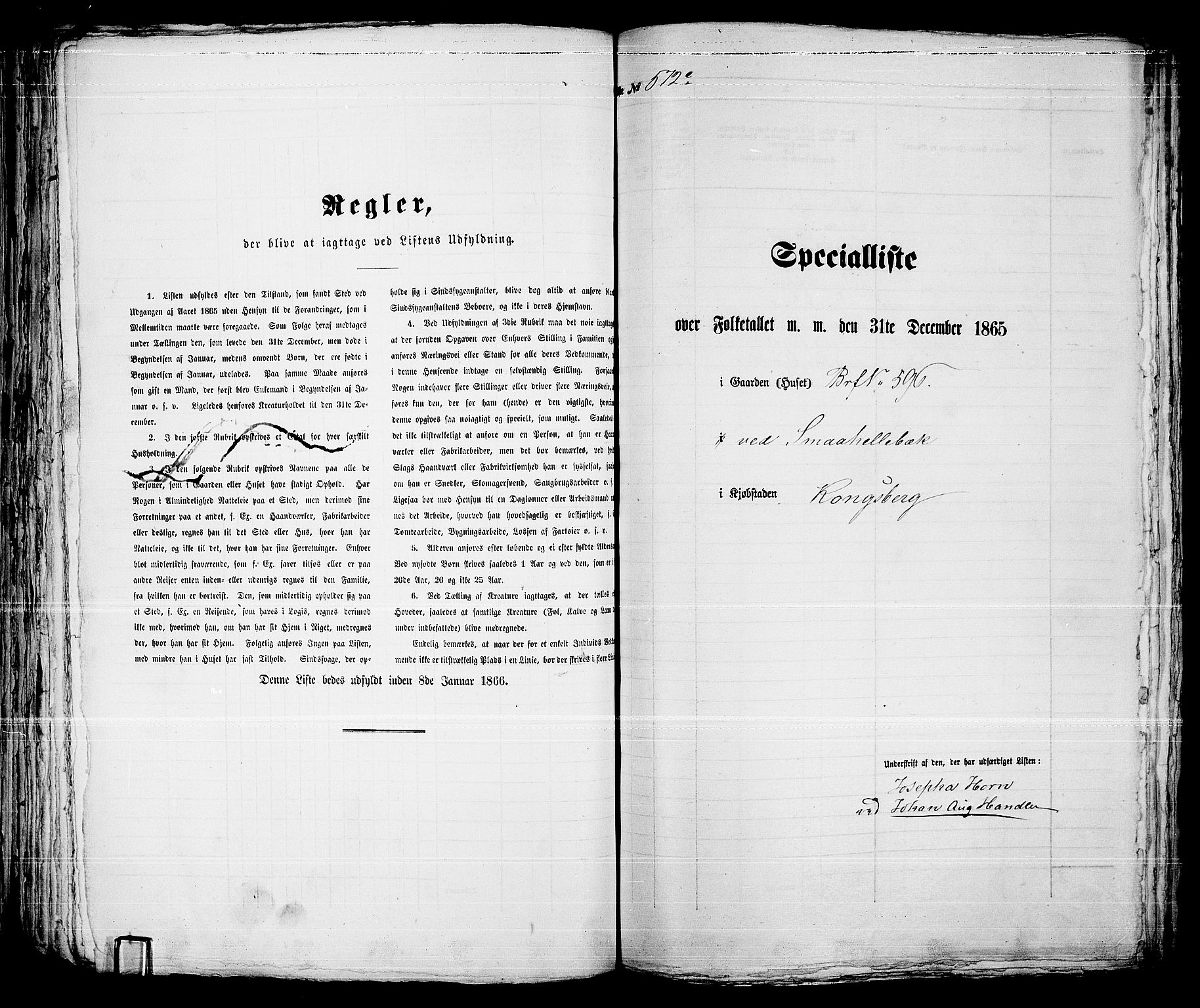 RA, 1865 census for Kongsberg/Kongsberg, 1865, p. 1160