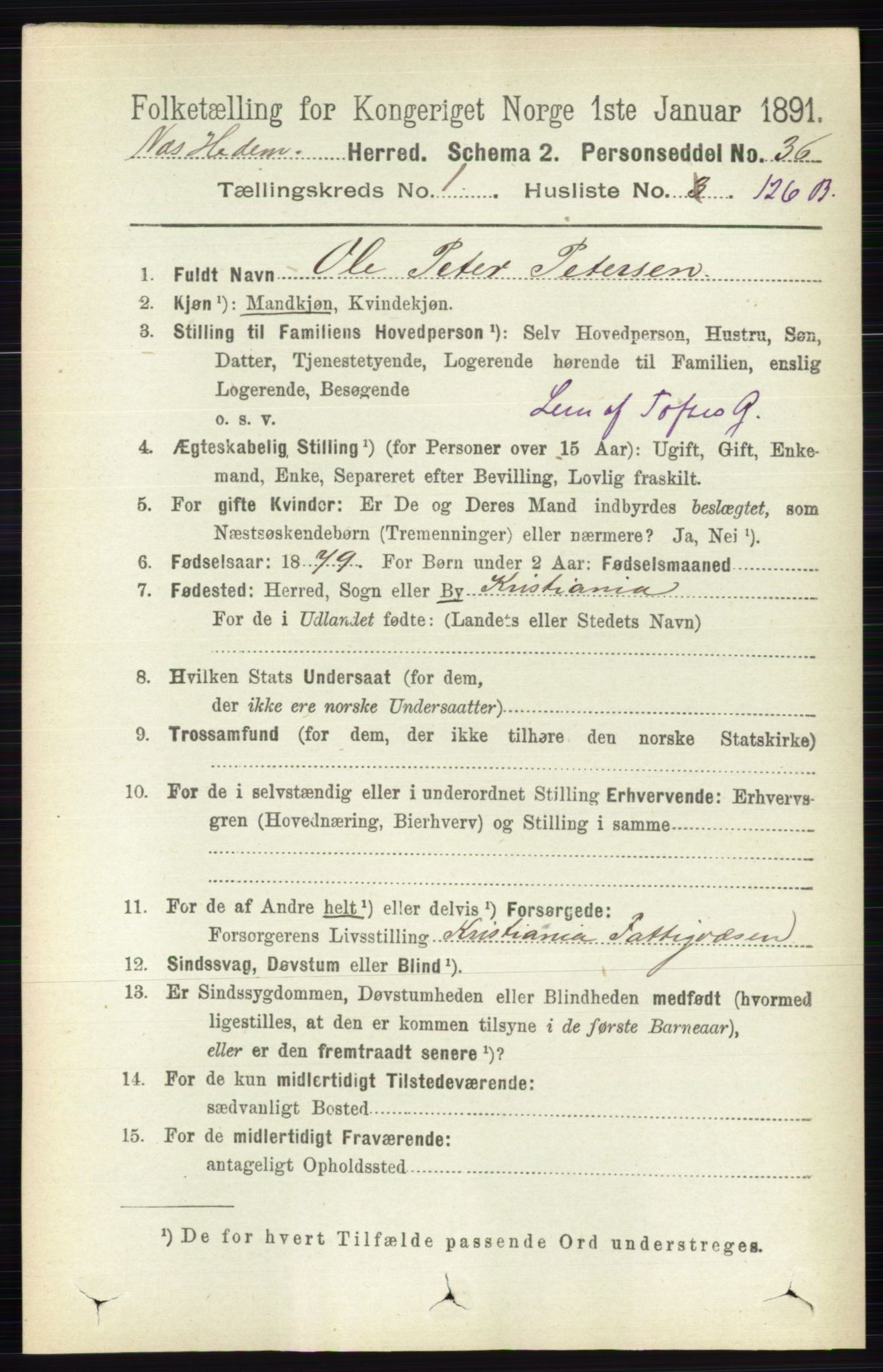 RA, 1891 census for 0411 Nes, 1891, p. 943