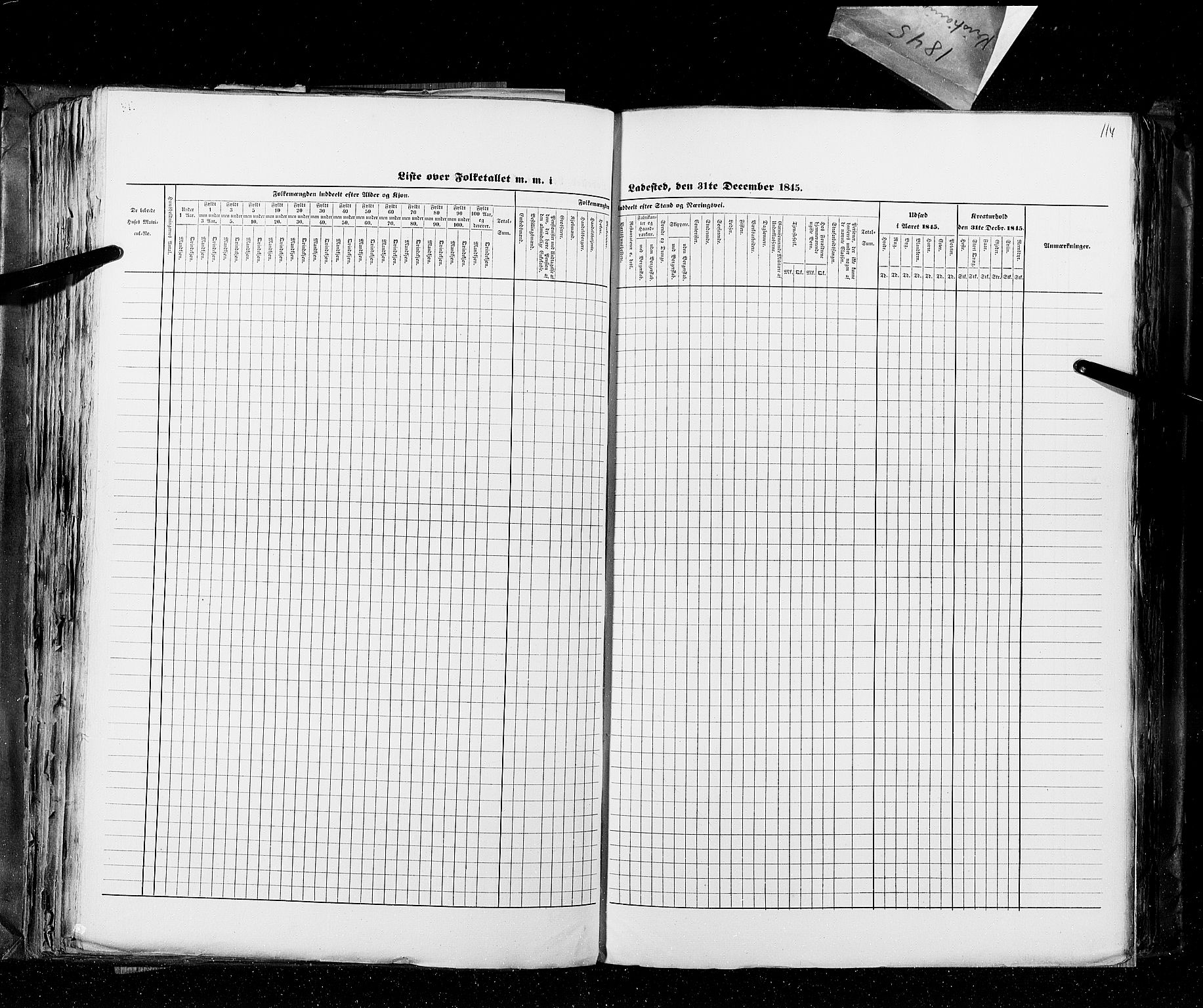 RA, Census 1845, vol. 10: Cities, 1845, p. 114