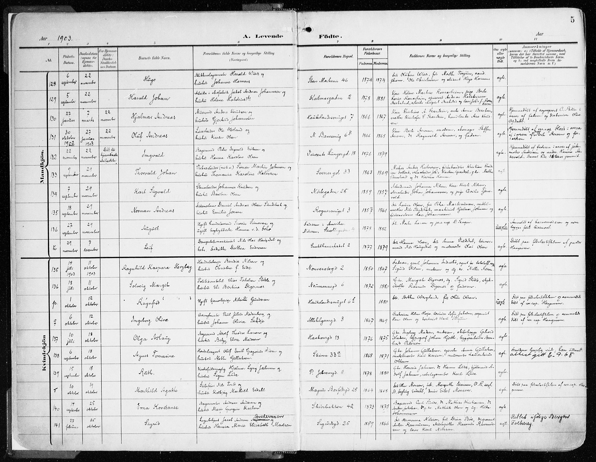 Domkirken sokneprestembete, SAB/A-74801/H/Haa/L0025: Parish register (official) no. B 8, 1903-1925, p. 5