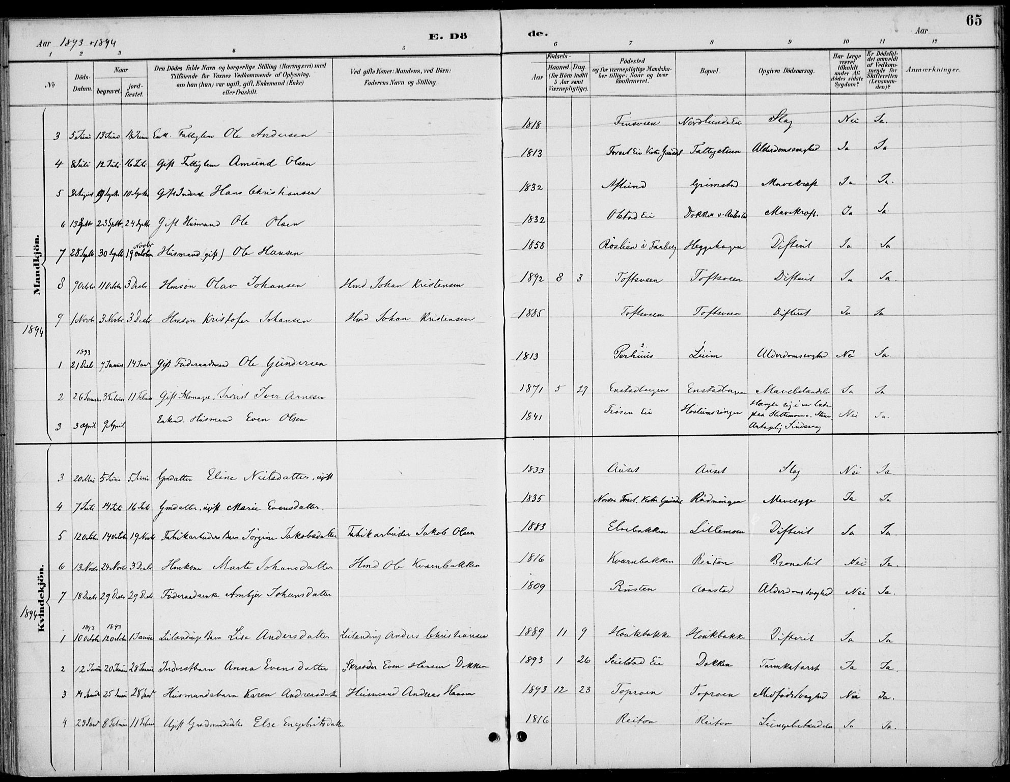 Østre Gausdal prestekontor, SAH/PREST-092/H/Ha/Haa/L0003: Parish register (official) no. 3, 1887-1901, p. 65