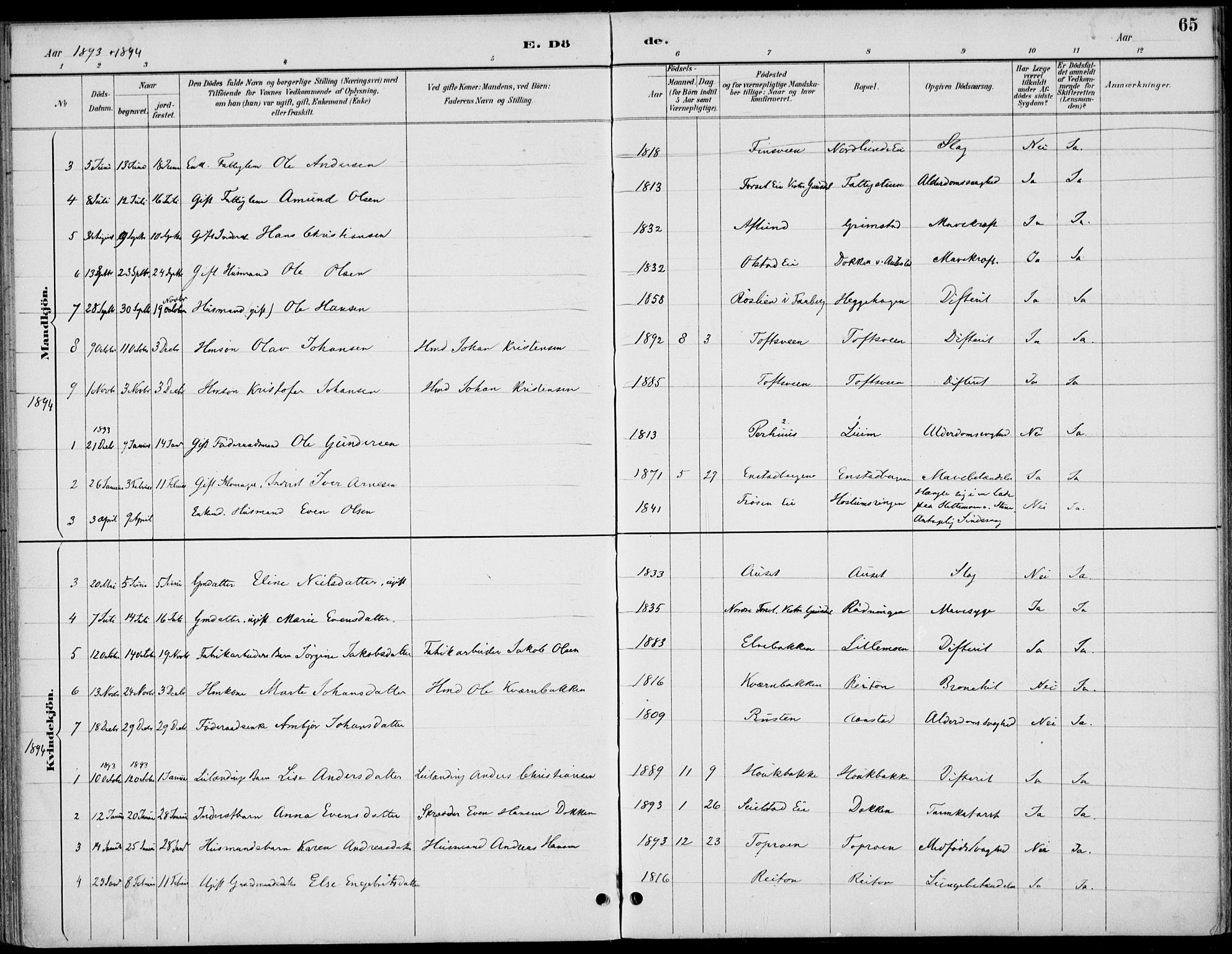 Østre Gausdal prestekontor, AV/SAH-PREST-092/H/Ha/Haa/L0003: Parish register (official) no. 3, 1887-1901, p. 65