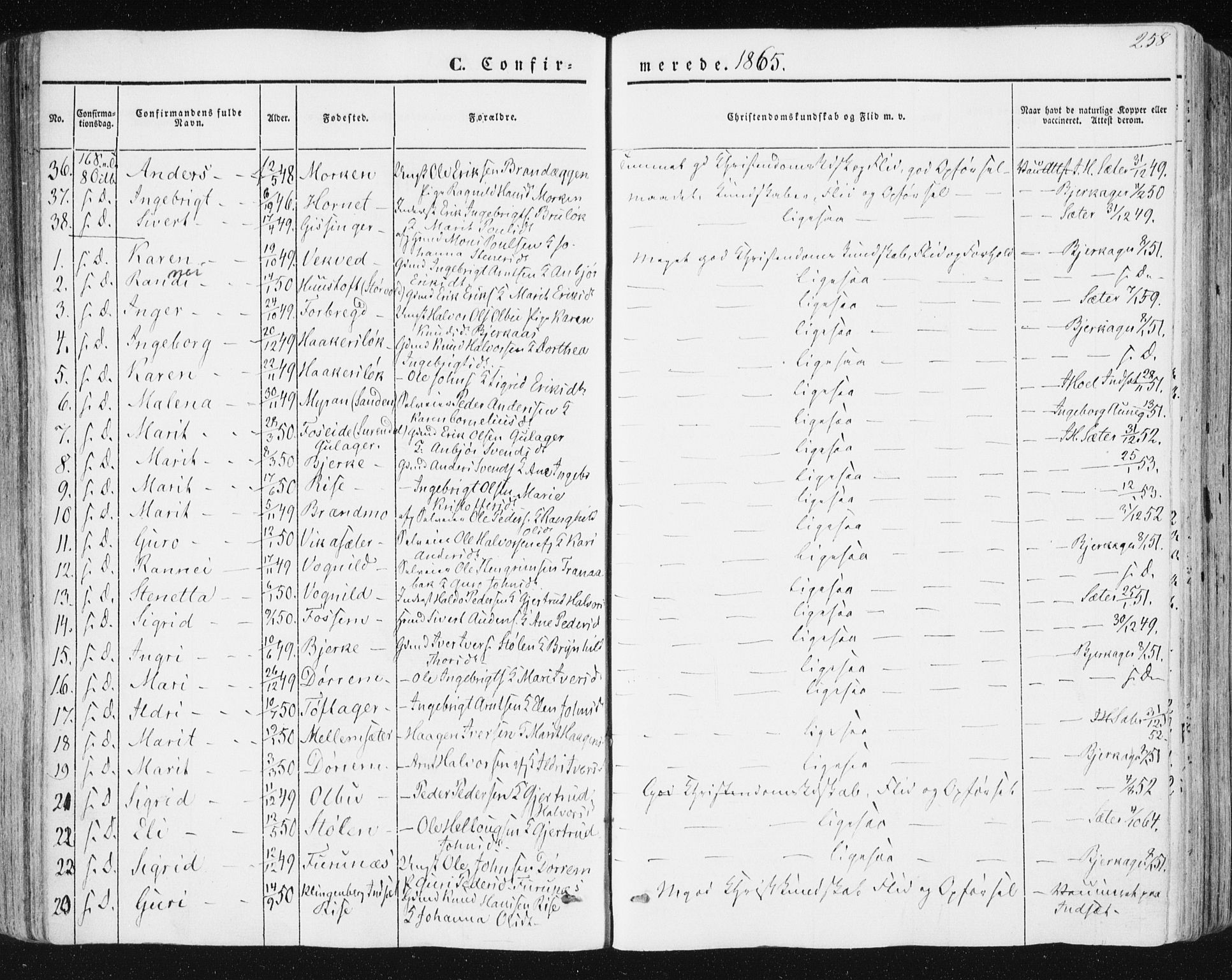 Ministerialprotokoller, klokkerbøker og fødselsregistre - Sør-Trøndelag, AV/SAT-A-1456/678/L0899: Parish register (official) no. 678A08, 1848-1872, p. 258