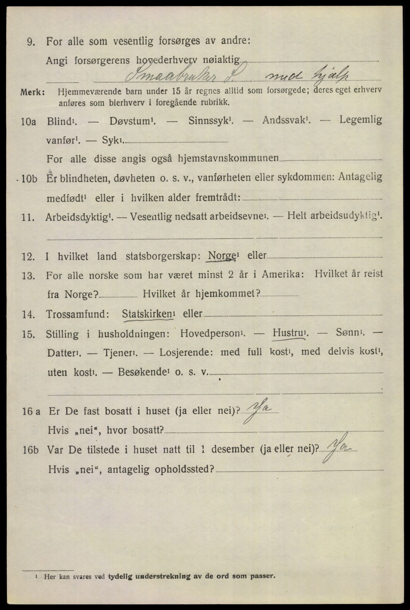 SAKO, 1920 census for Ål, 1920, p. 5113