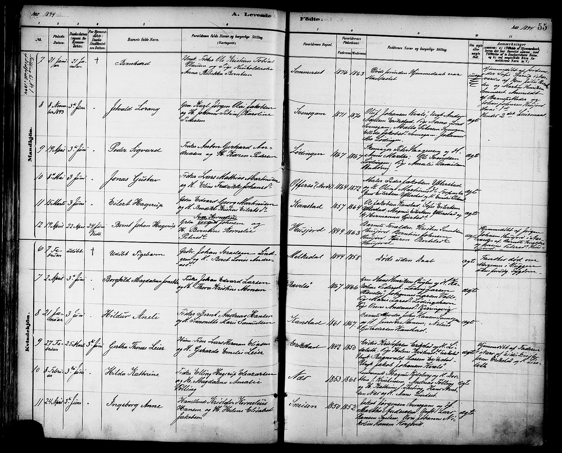 Ministerialprotokoller, klokkerbøker og fødselsregistre - Nordland, AV/SAT-A-1459/872/L1035: Parish register (official) no. 872A10, 1884-1896, p. 55