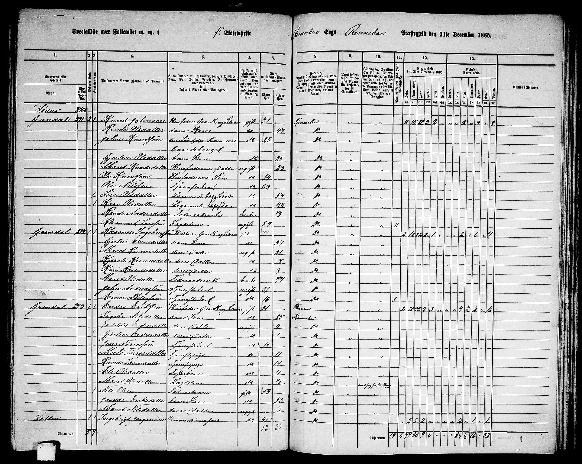RA, 1865 census for Rennebu, 1865, p. 21
