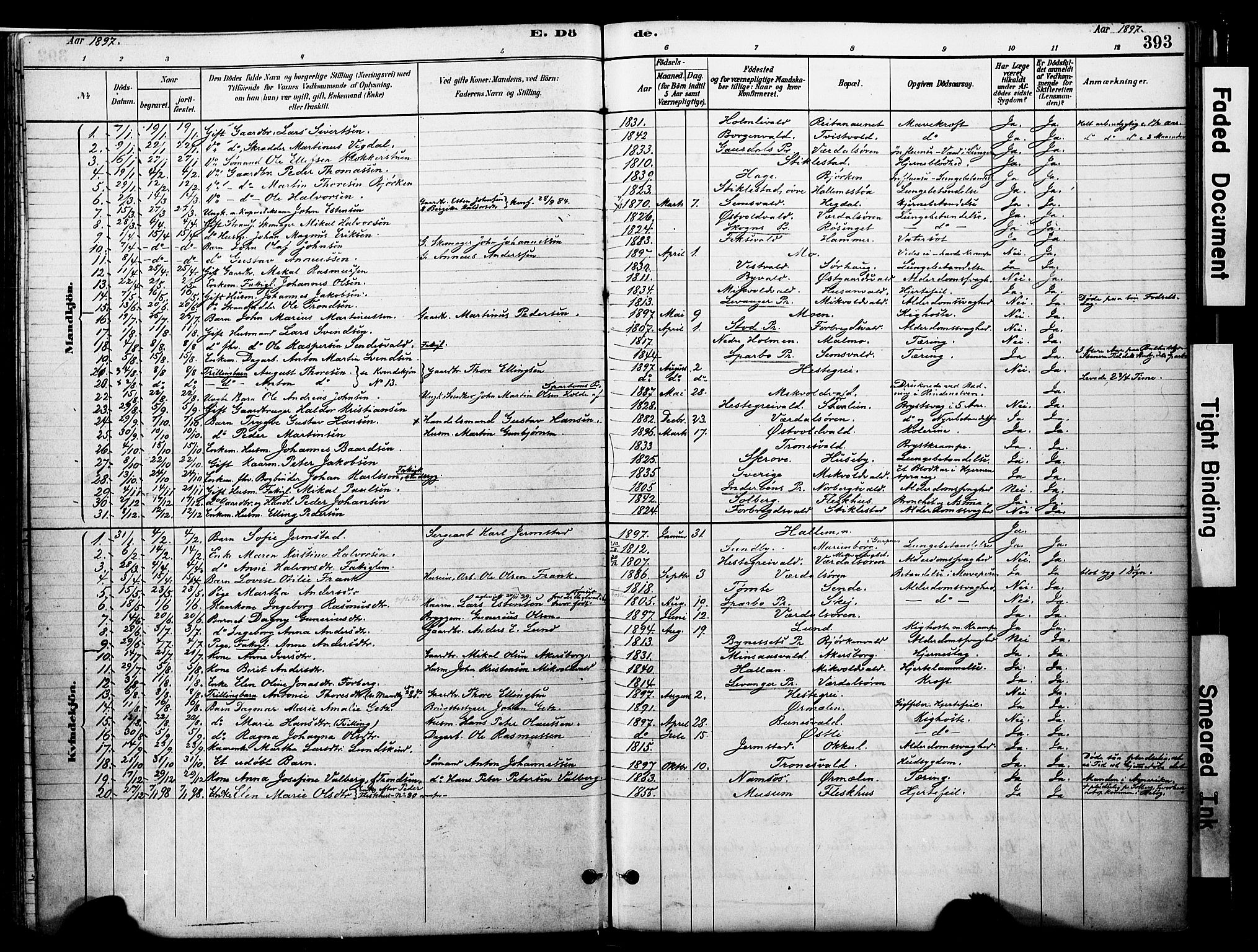Ministerialprotokoller, klokkerbøker og fødselsregistre - Nord-Trøndelag, SAT/A-1458/723/L0244: Parish register (official) no. 723A13, 1881-1899, p. 393