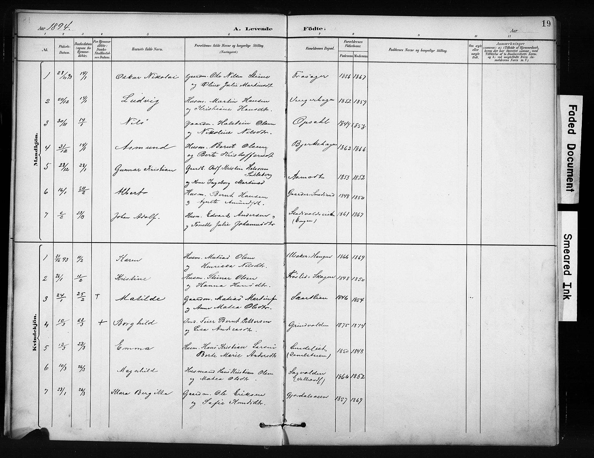 Nordre Land prestekontor, SAH/PREST-124/H/Ha/Hab/L0012: Parish register (copy) no. 12, 1891-1909, p. 19