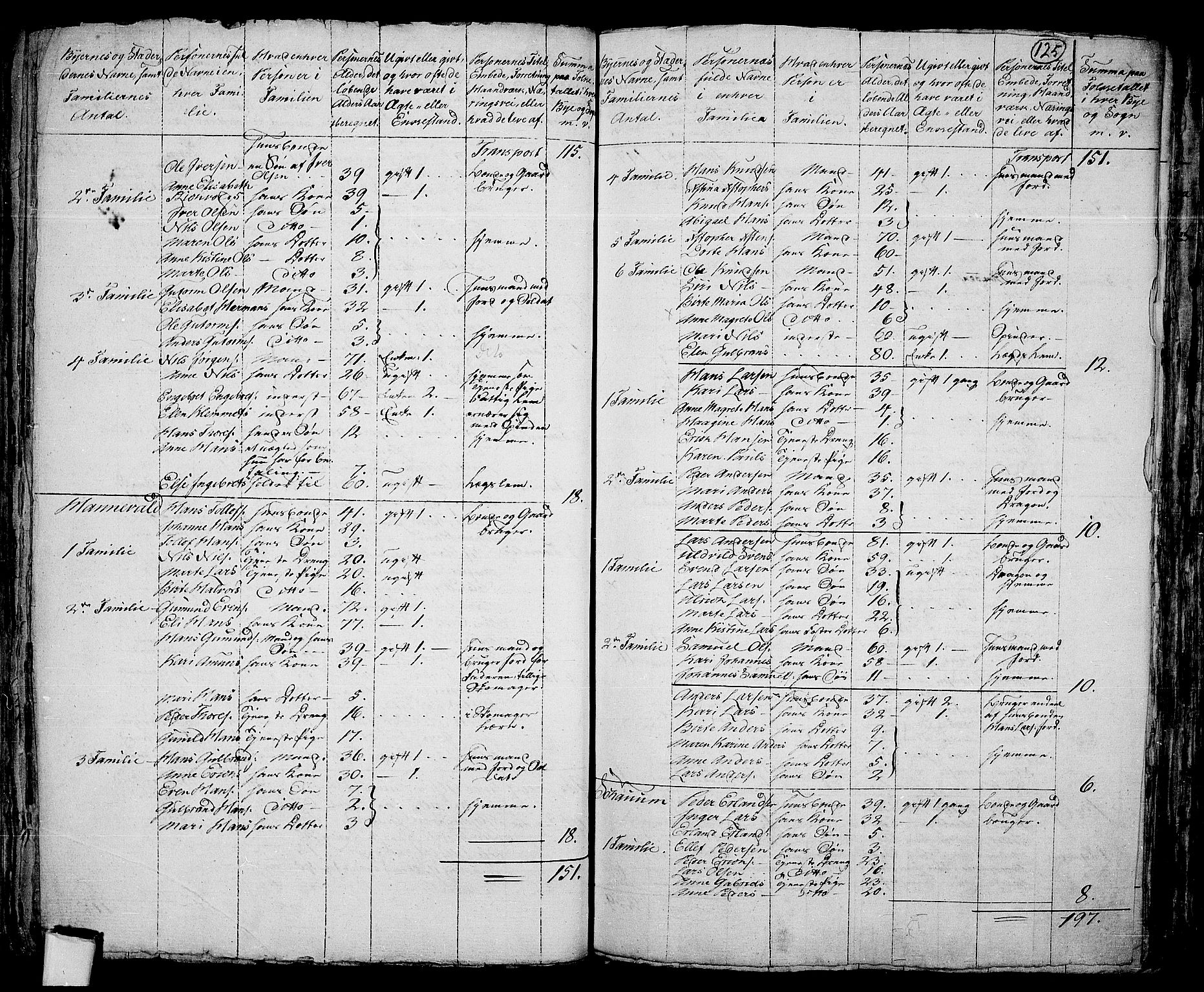 RA, 1801 census for 0220P Asker, 1801, p. 124b-125a