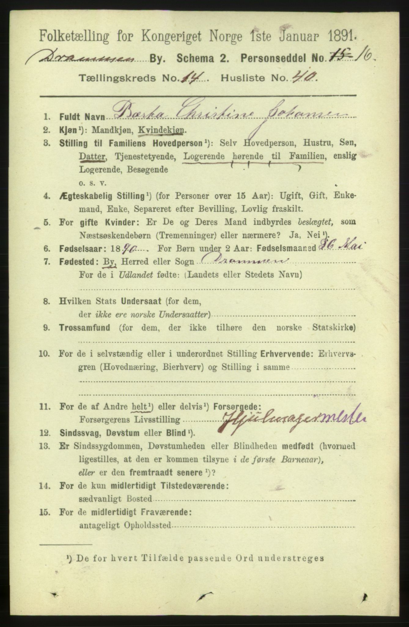 RA, 1891 census for 0602 Drammen, 1891, p. 10499