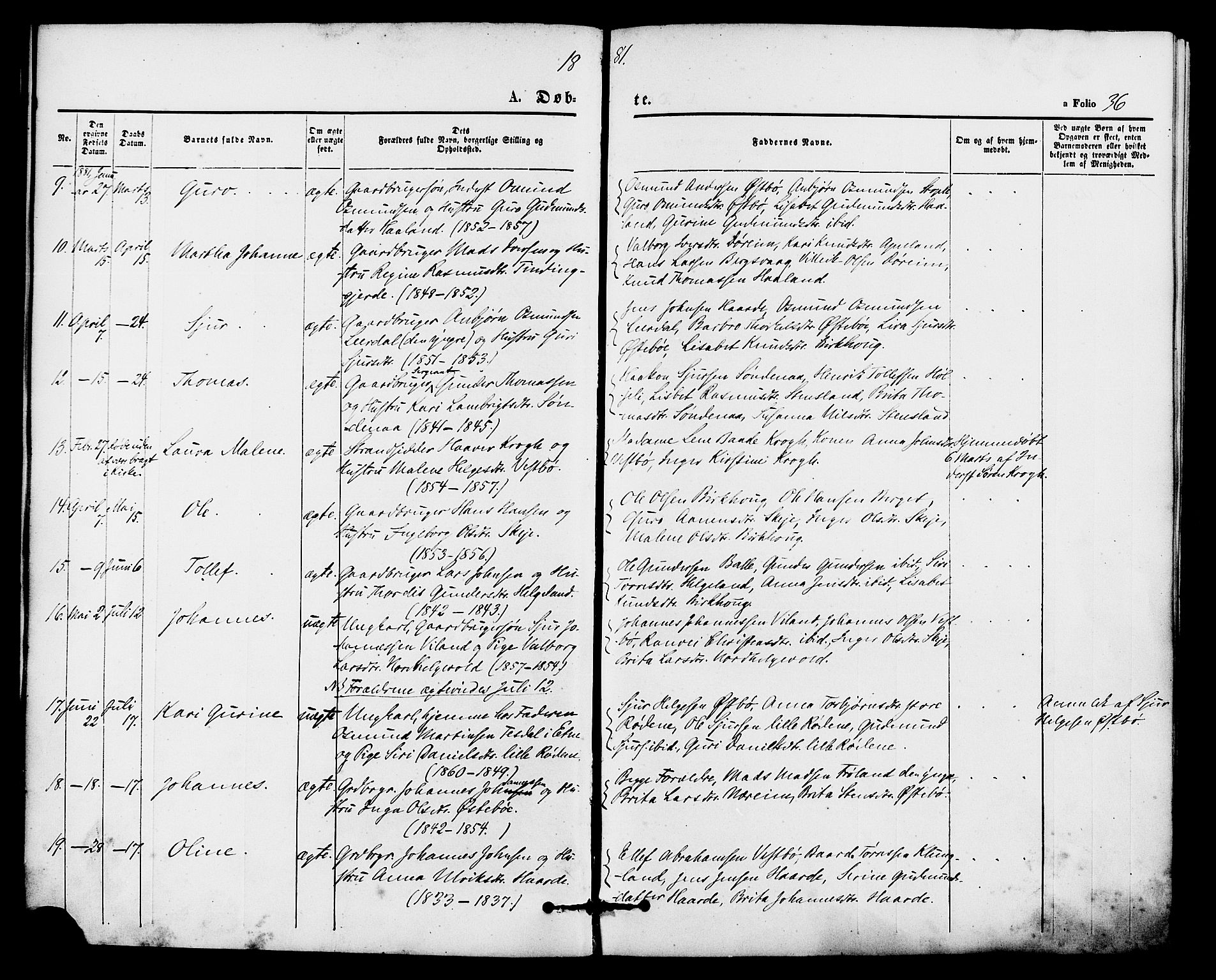 Vikedal sokneprestkontor, AV/SAST-A-101840/01/IV: Parish register (official) no. A 8, 1868-1885, p. 36