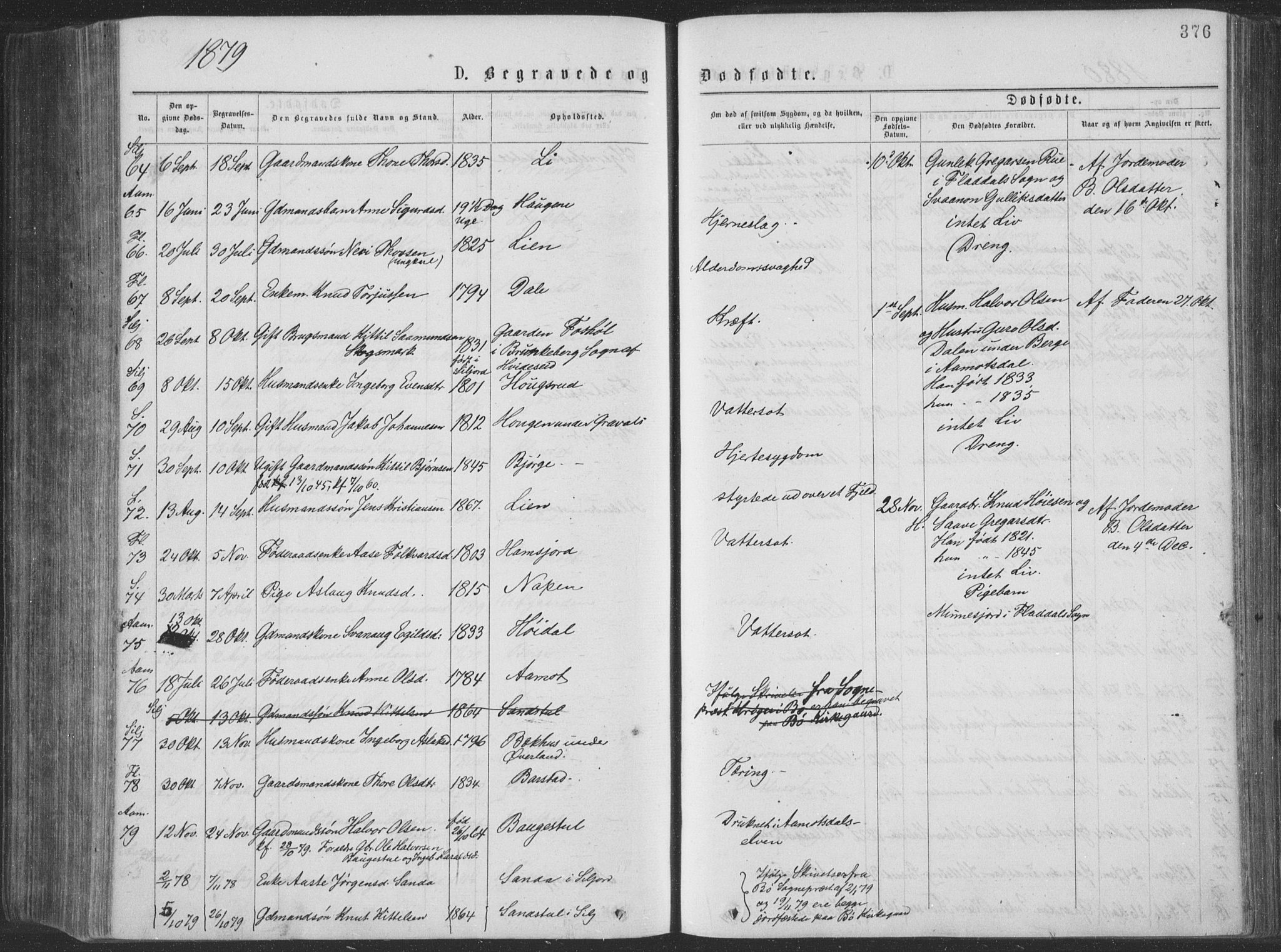 Seljord kirkebøker, SAKO/A-20/F/Fa/L0014: Parish register (official) no. I 14, 1877-1886, p. 376