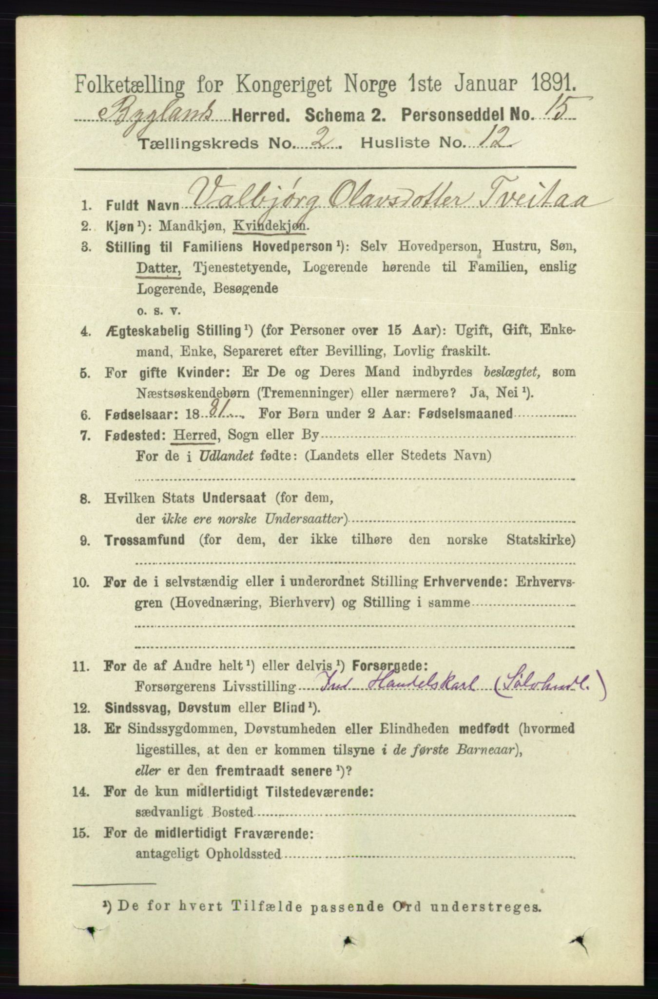 RA, 1891 census for 0938 Bygland, 1891, p. 331