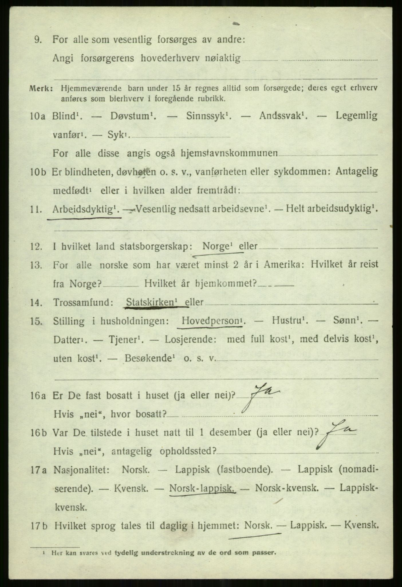 SATØ, 1920 census for Tromsøysund, 1920, p. 11729