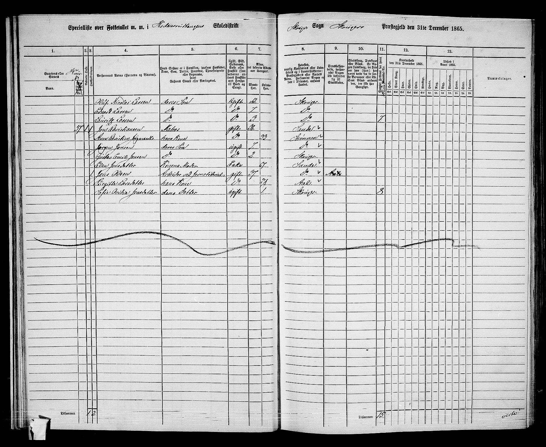 RA, 1865 census for Skoger, 1865, p. 33