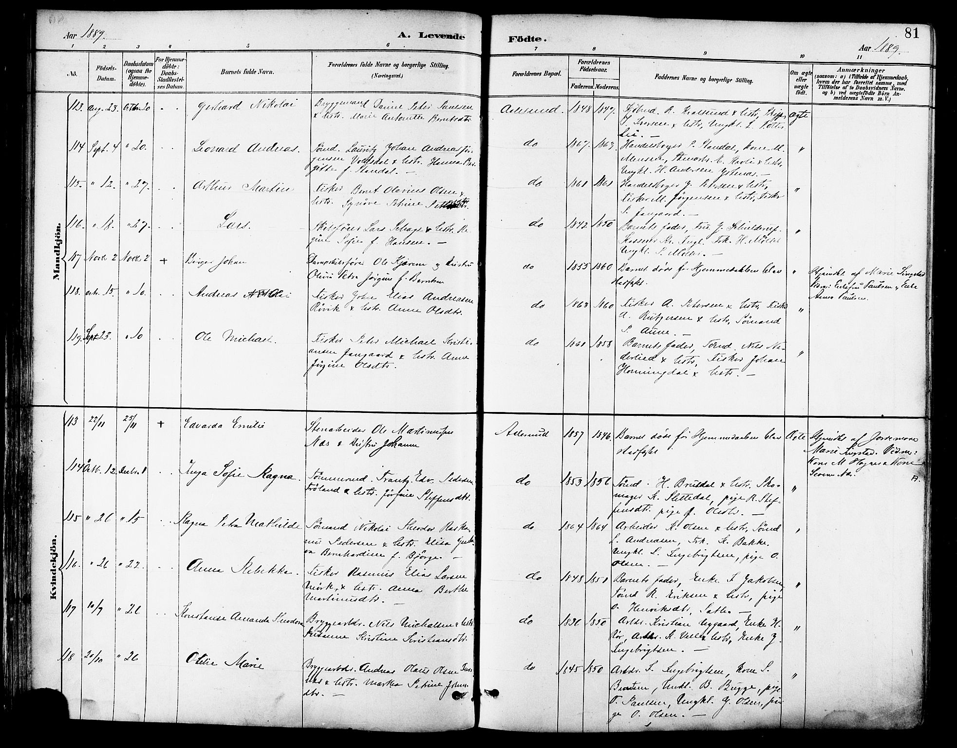 Ministerialprotokoller, klokkerbøker og fødselsregistre - Møre og Romsdal, AV/SAT-A-1454/529/L0455: Parish register (official) no. 529A05, 1885-1893, p. 81