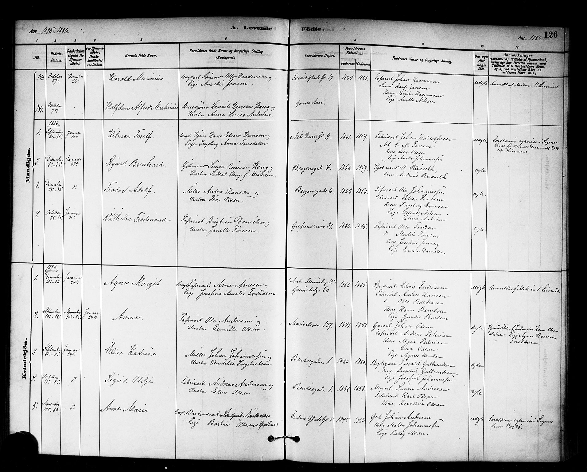 Sagene prestekontor Kirkebøker, SAO/A-10796/G/L0001: Parish register (copy) no. 1, 1880-1891, p. 126