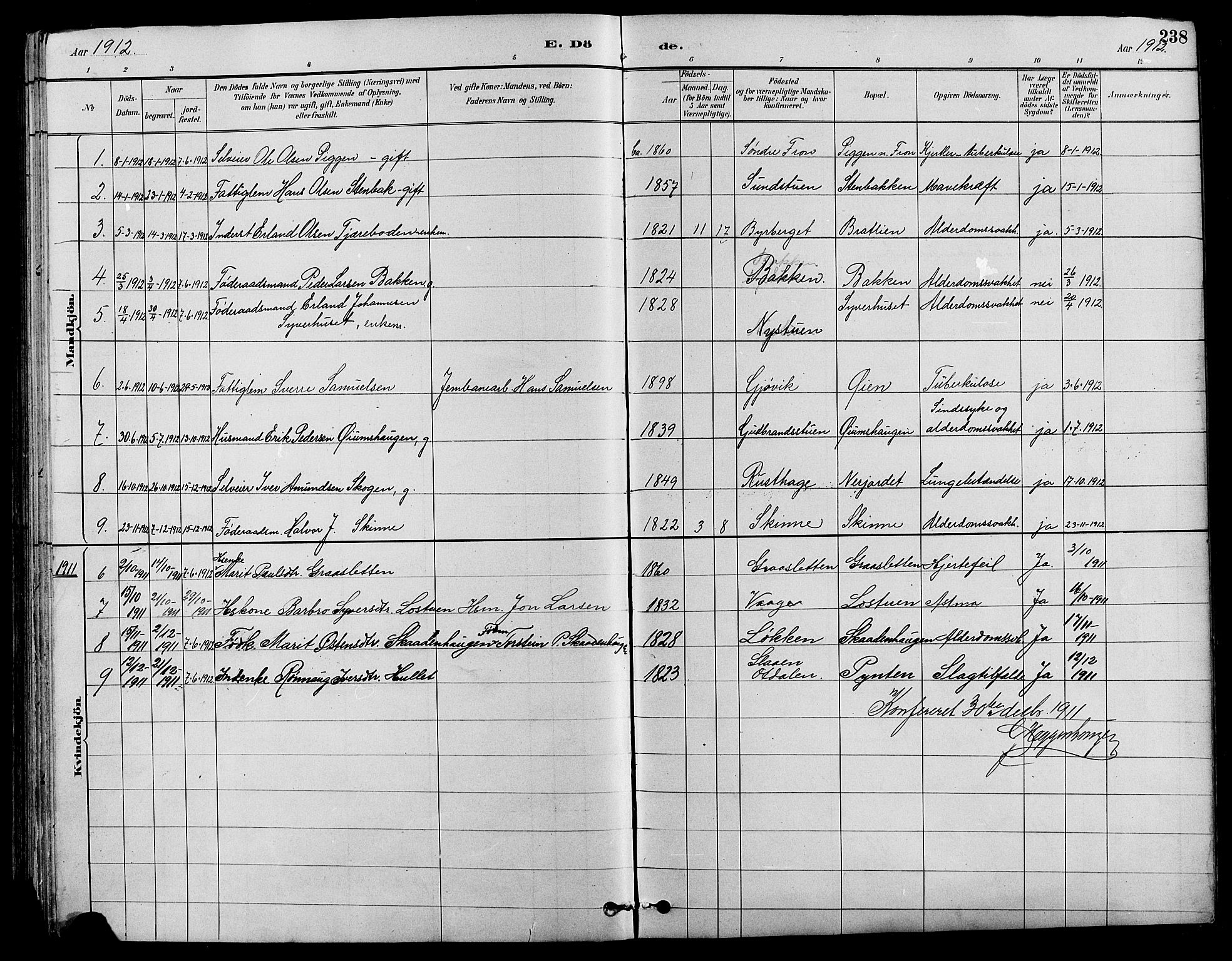 Nord-Fron prestekontor, SAH/PREST-080/H/Ha/Hab/L0004: Parish register (copy) no. 4, 1884-1914, p. 238