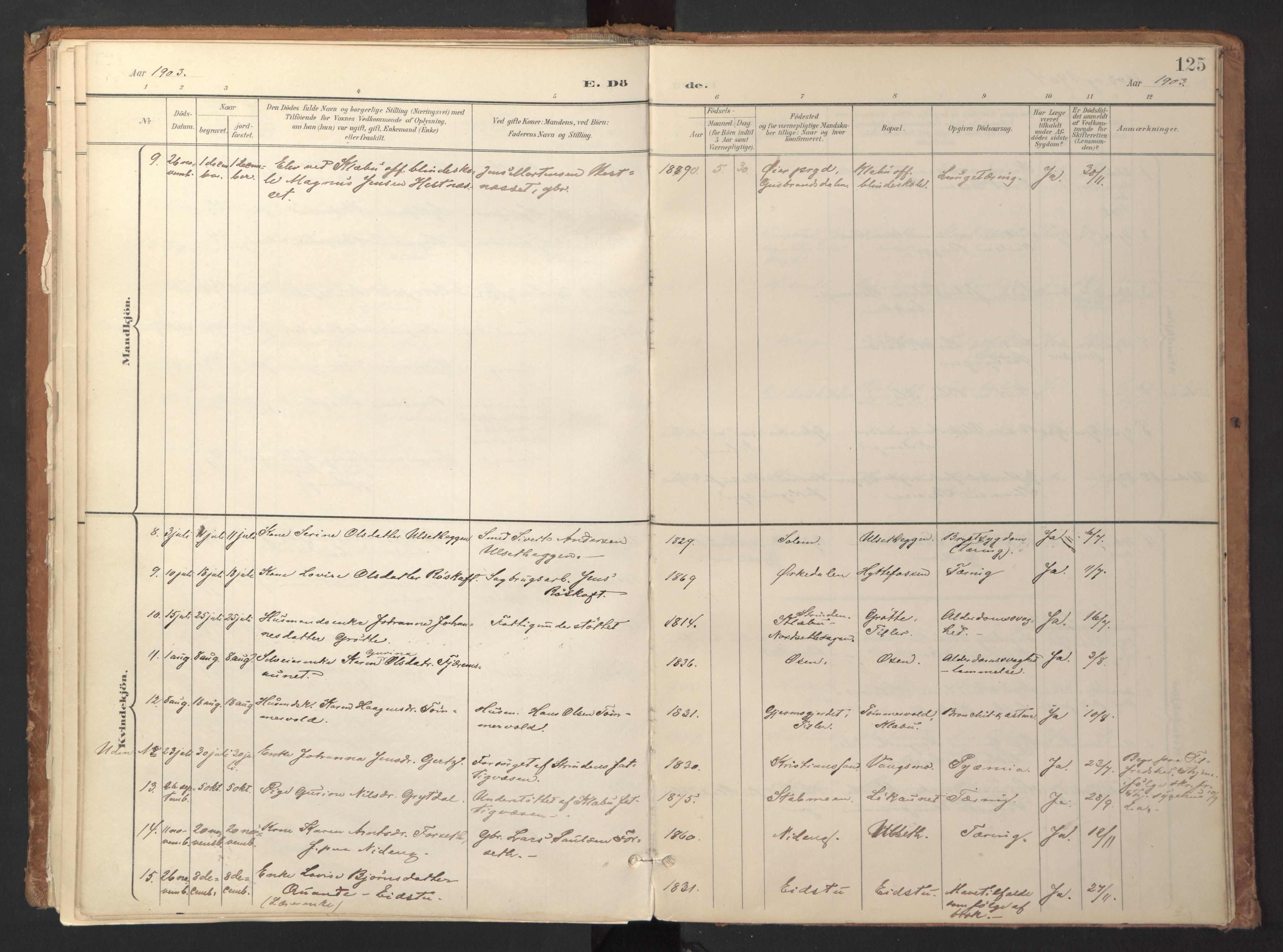 Ministerialprotokoller, klokkerbøker og fødselsregistre - Sør-Trøndelag, SAT/A-1456/618/L0448: Parish register (official) no. 618A11, 1898-1916, p. 125