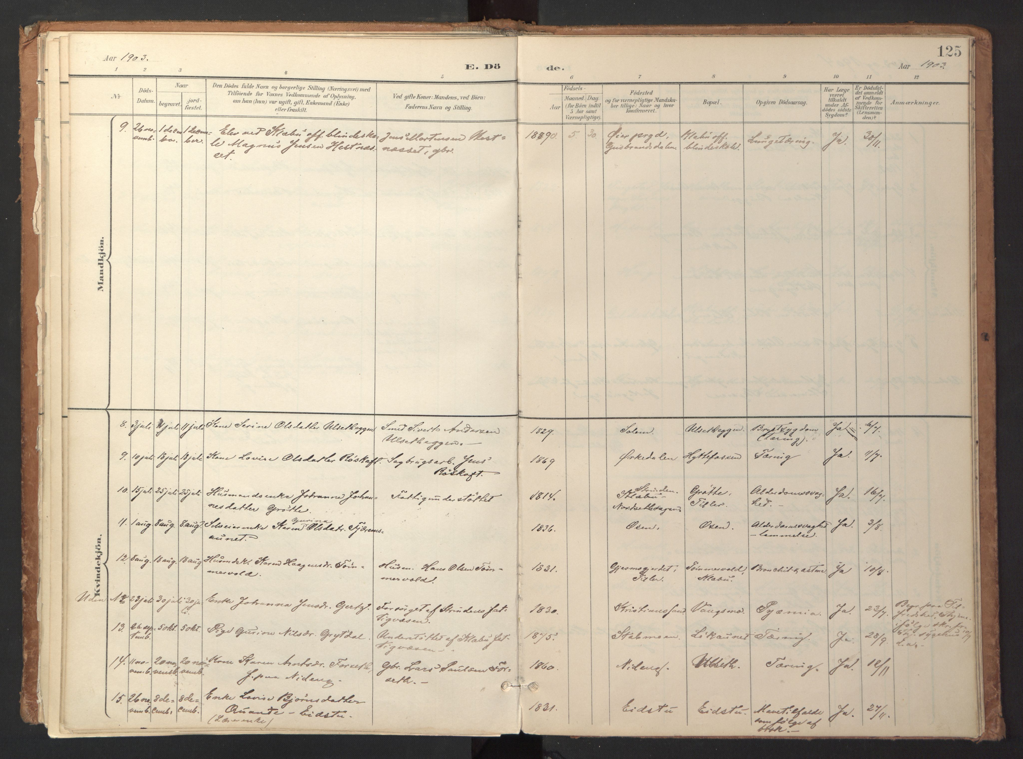 Ministerialprotokoller, klokkerbøker og fødselsregistre - Sør-Trøndelag, AV/SAT-A-1456/618/L0448: Parish register (official) no. 618A11, 1898-1916, p. 125